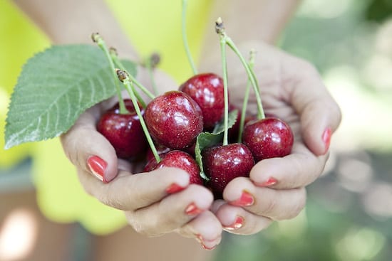 Cherries