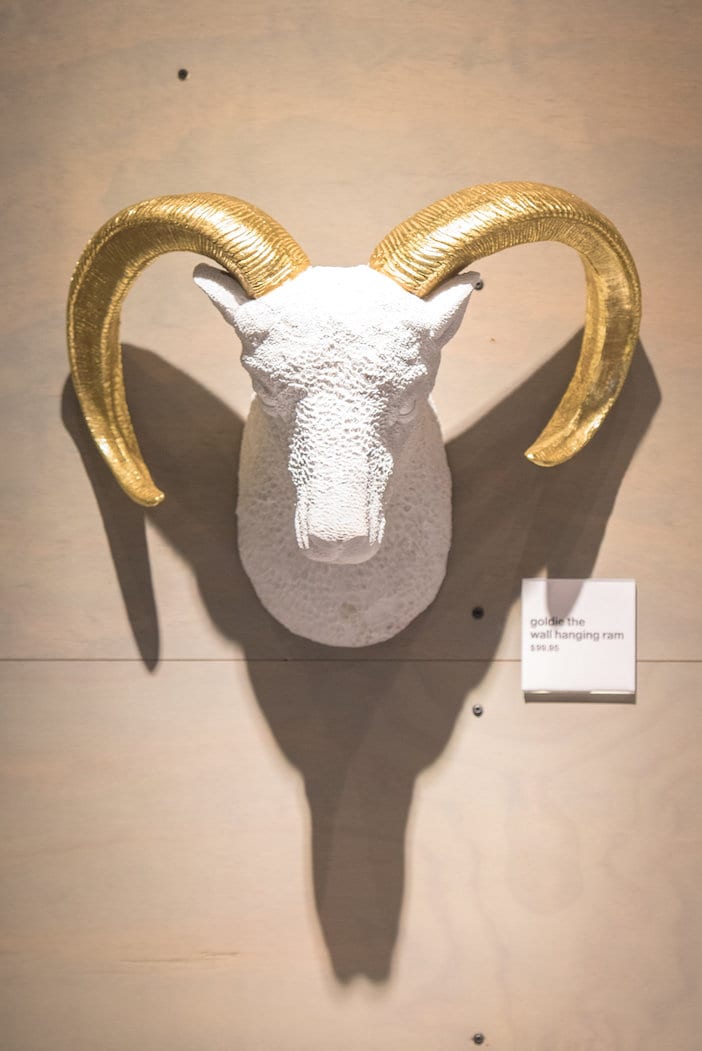 ram head wall decor with white body head and gold horns