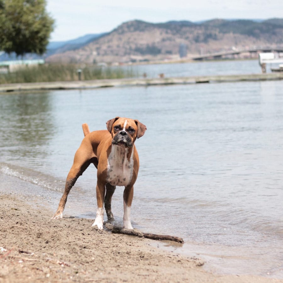 NACHO-ON-THE-BEACH-FOR-NORDSTROM-PHOTO-SHOOT