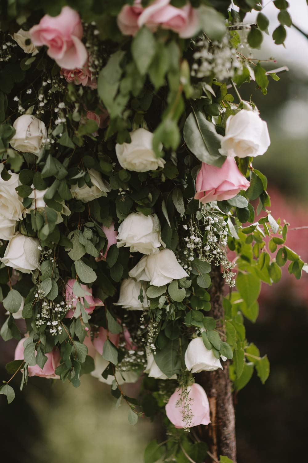 close-up-of-arbor