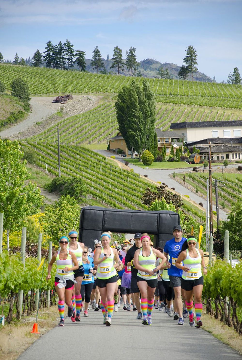 Jillian Harris Half Corked Marathon-1