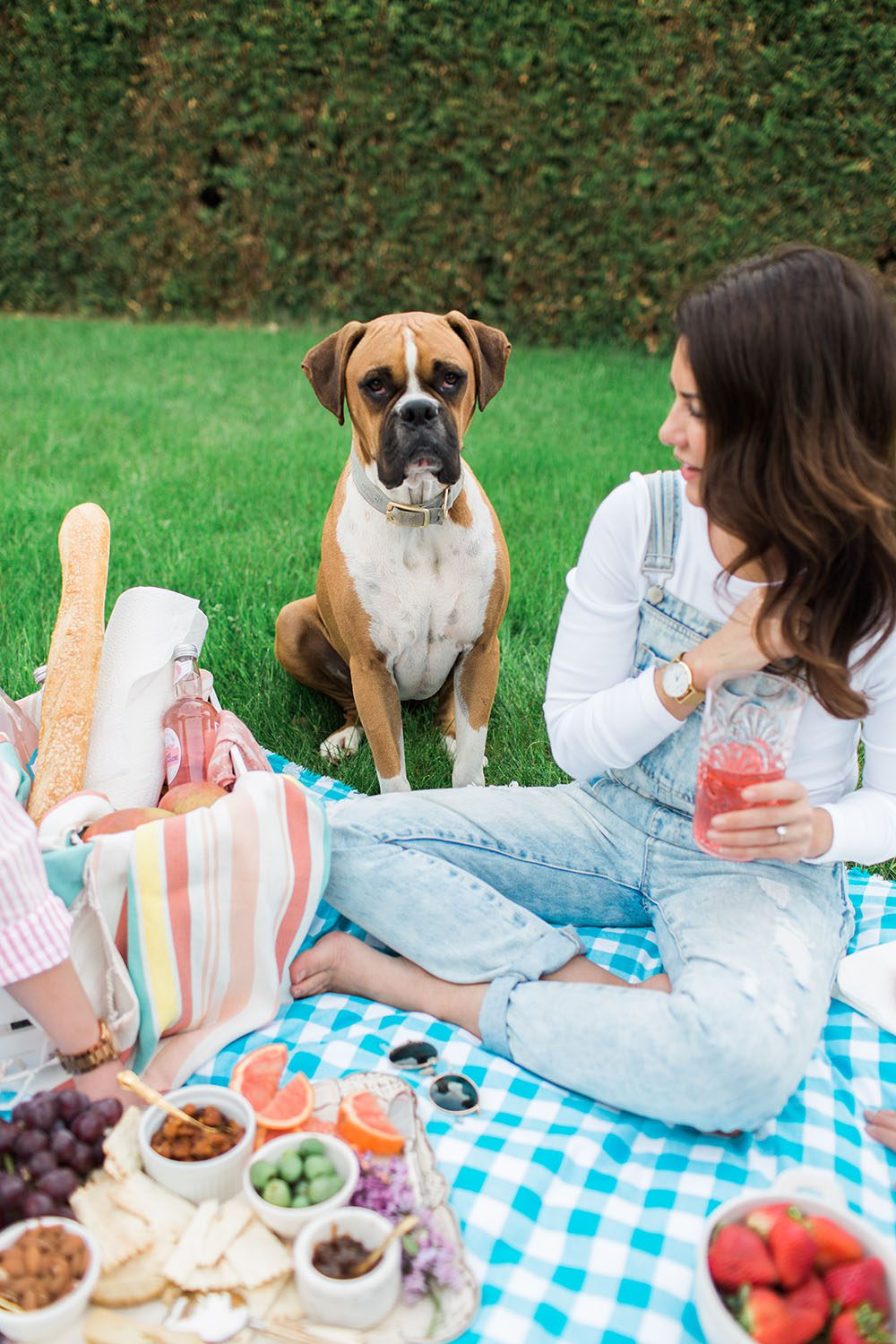 Jillian Harris Packing the Perfect Picnic