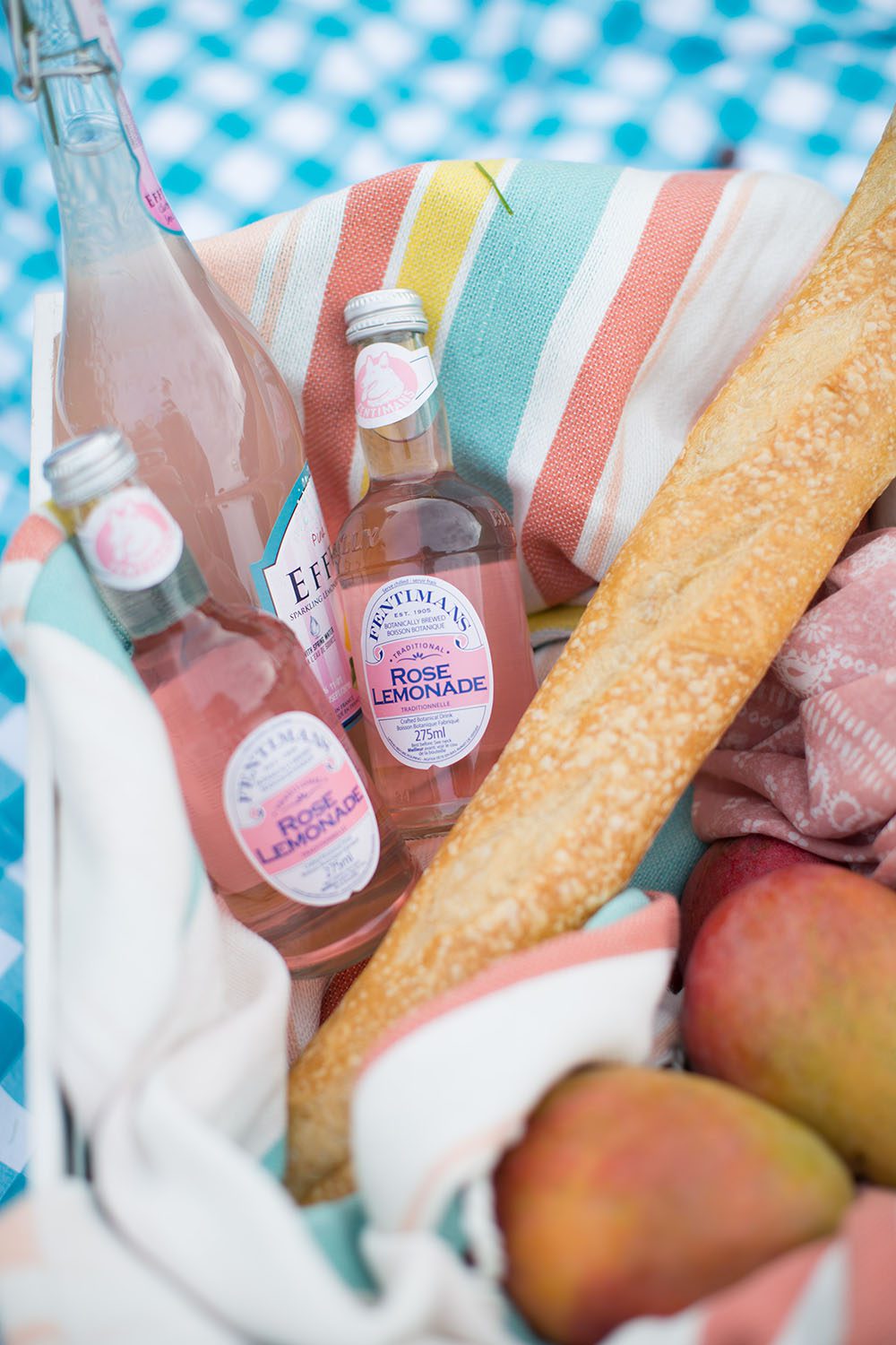 Jillian Harris Packing the Perfect Picnic