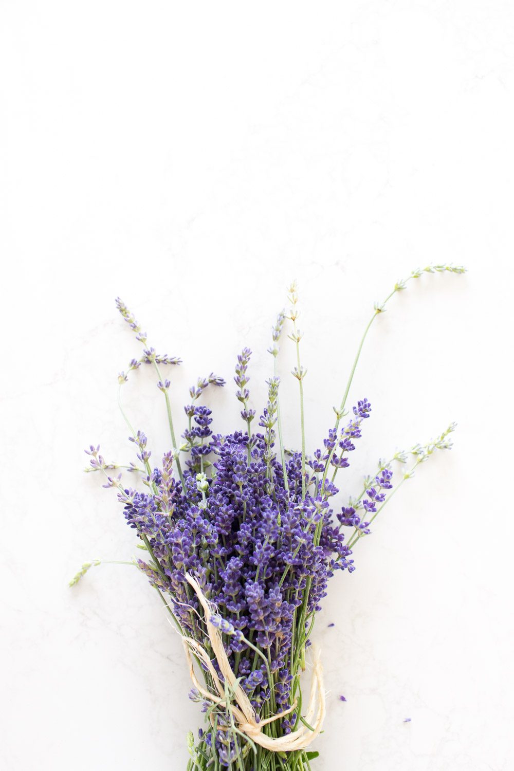 Jillian Harris Haywire Lavender Frose