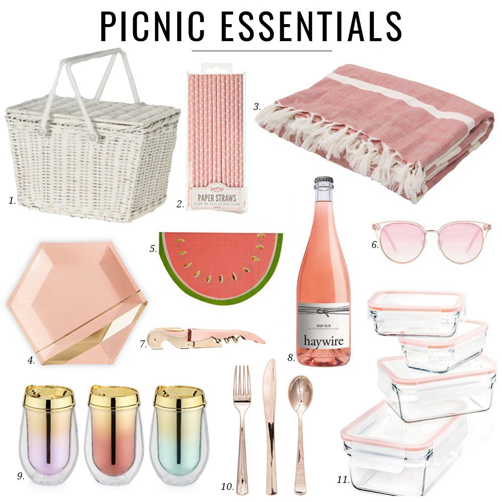 Jillian Harris Picnic Essentials