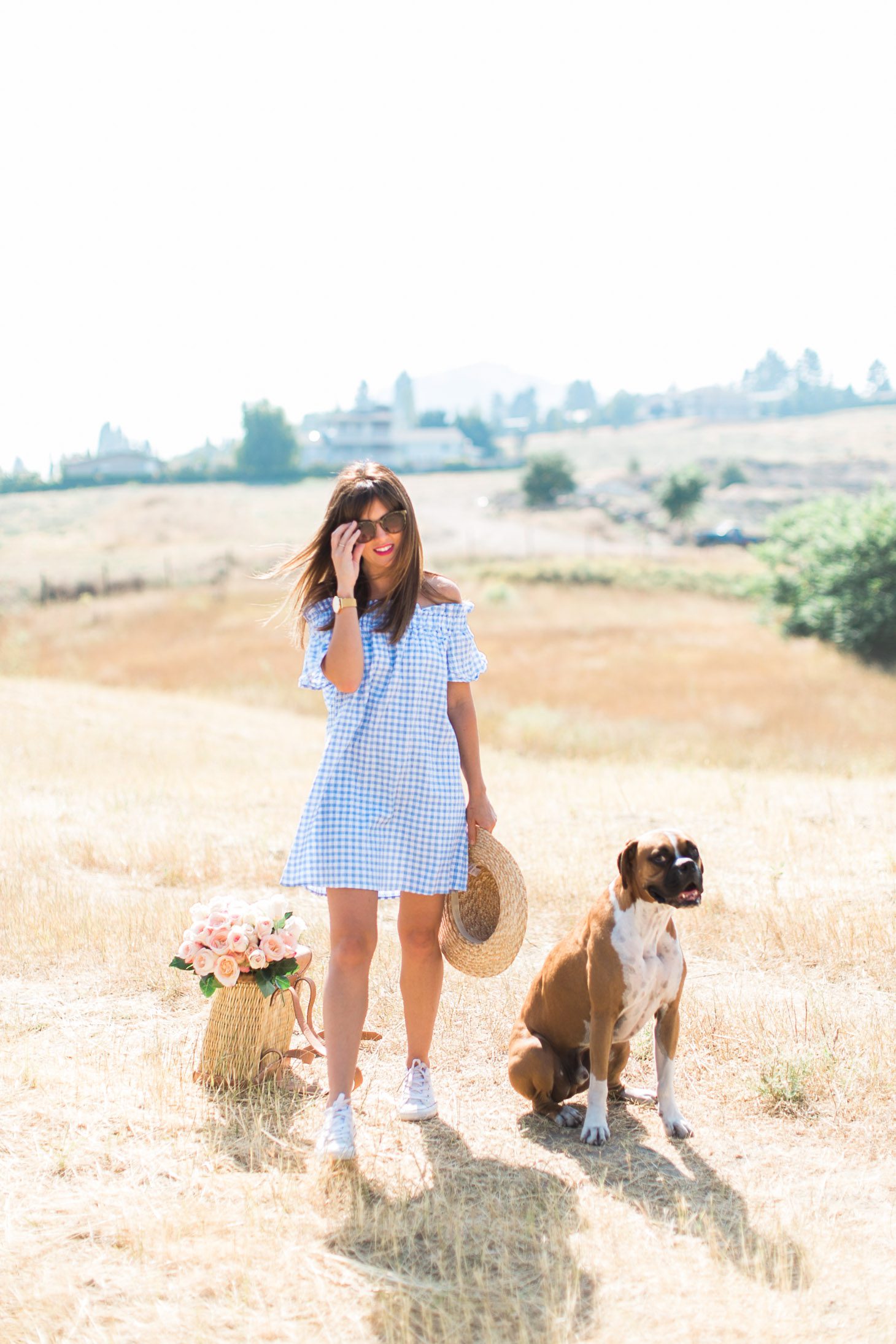 Jillian Harris Nordstrom Gingham Dress