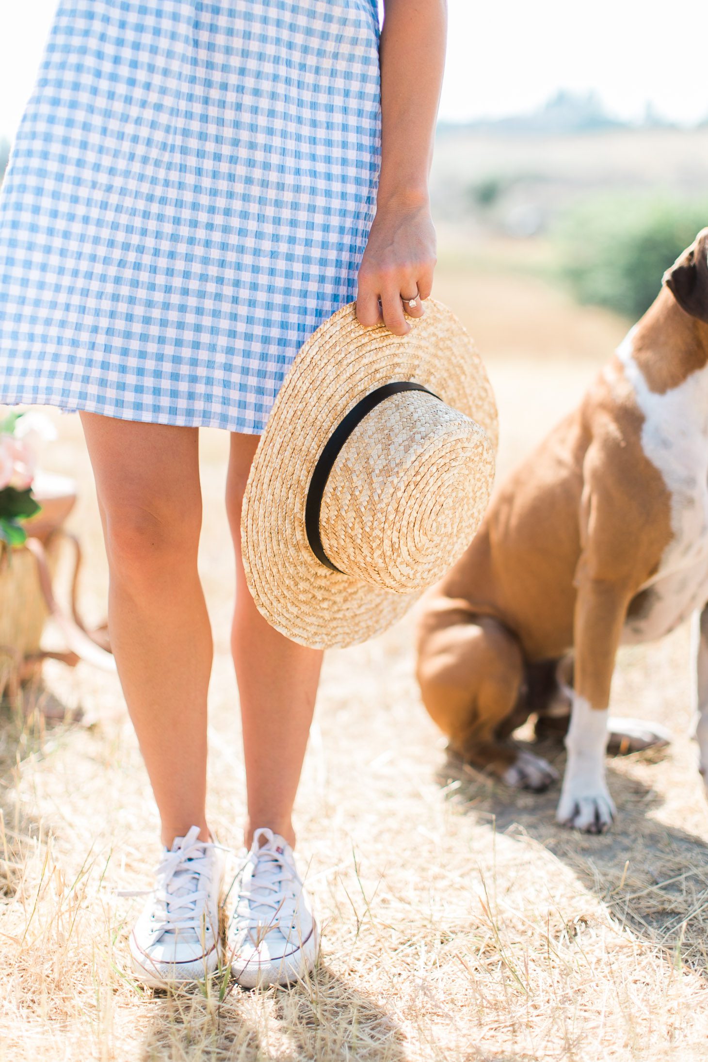 Jillian Harris Nordstrom Gingham Dress