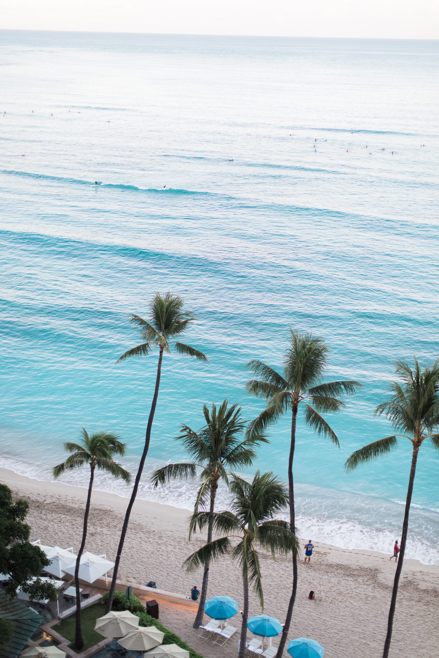 Jillian Harris Honolulu Hawaii Recap