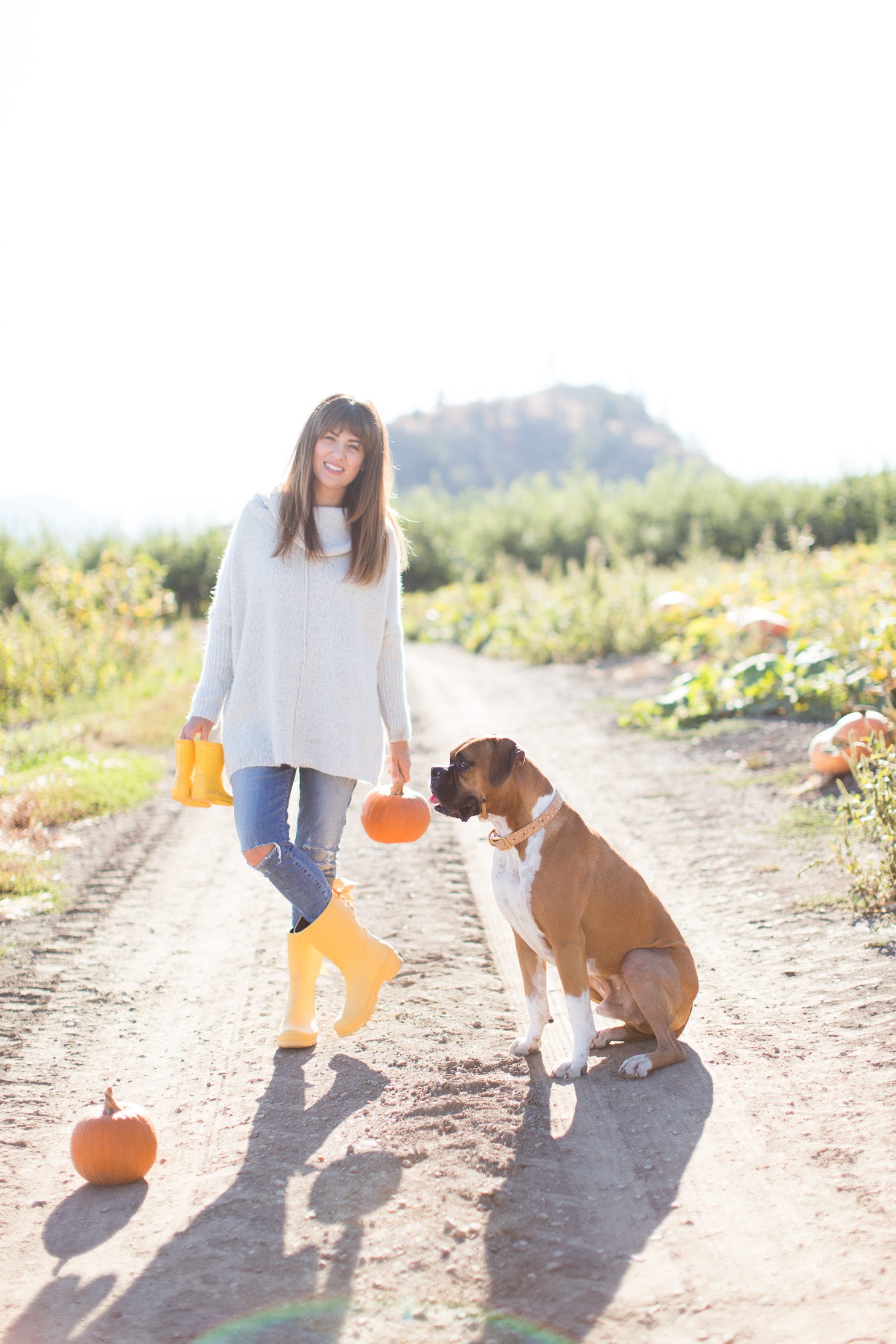 Jillian Harris ModCloth Sweater Pumpkin Patch