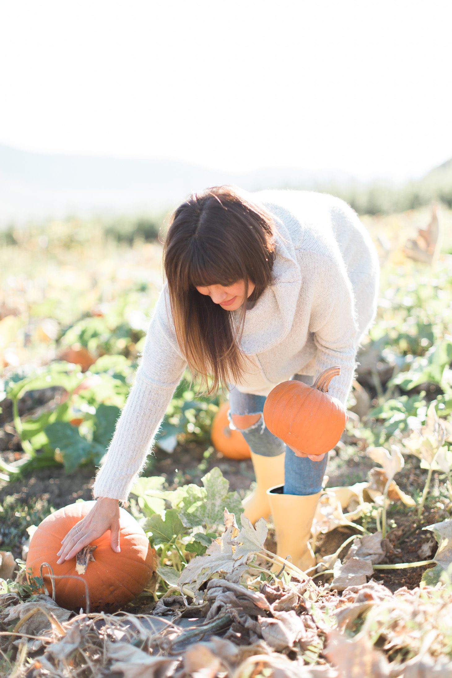 Jillian Harris ModCloth Sweater Pumpkin Patch