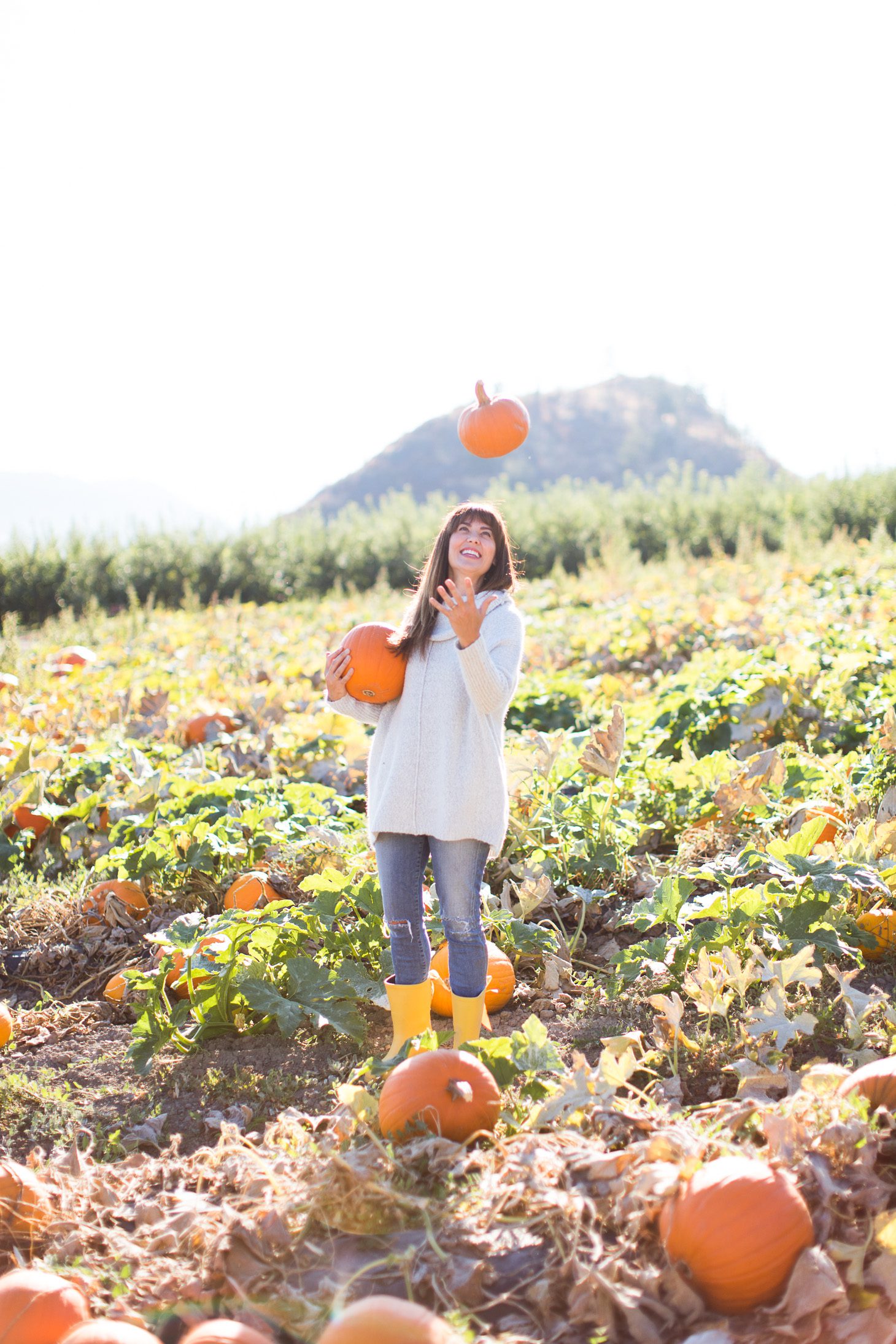 Jillian Harris ModCloth Sweater Pumpkin Patch