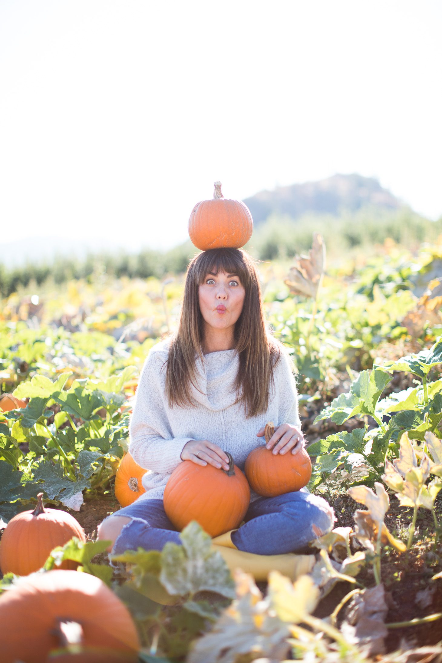 Jillian Harris ModCloth Sweater Pumpkin Patch