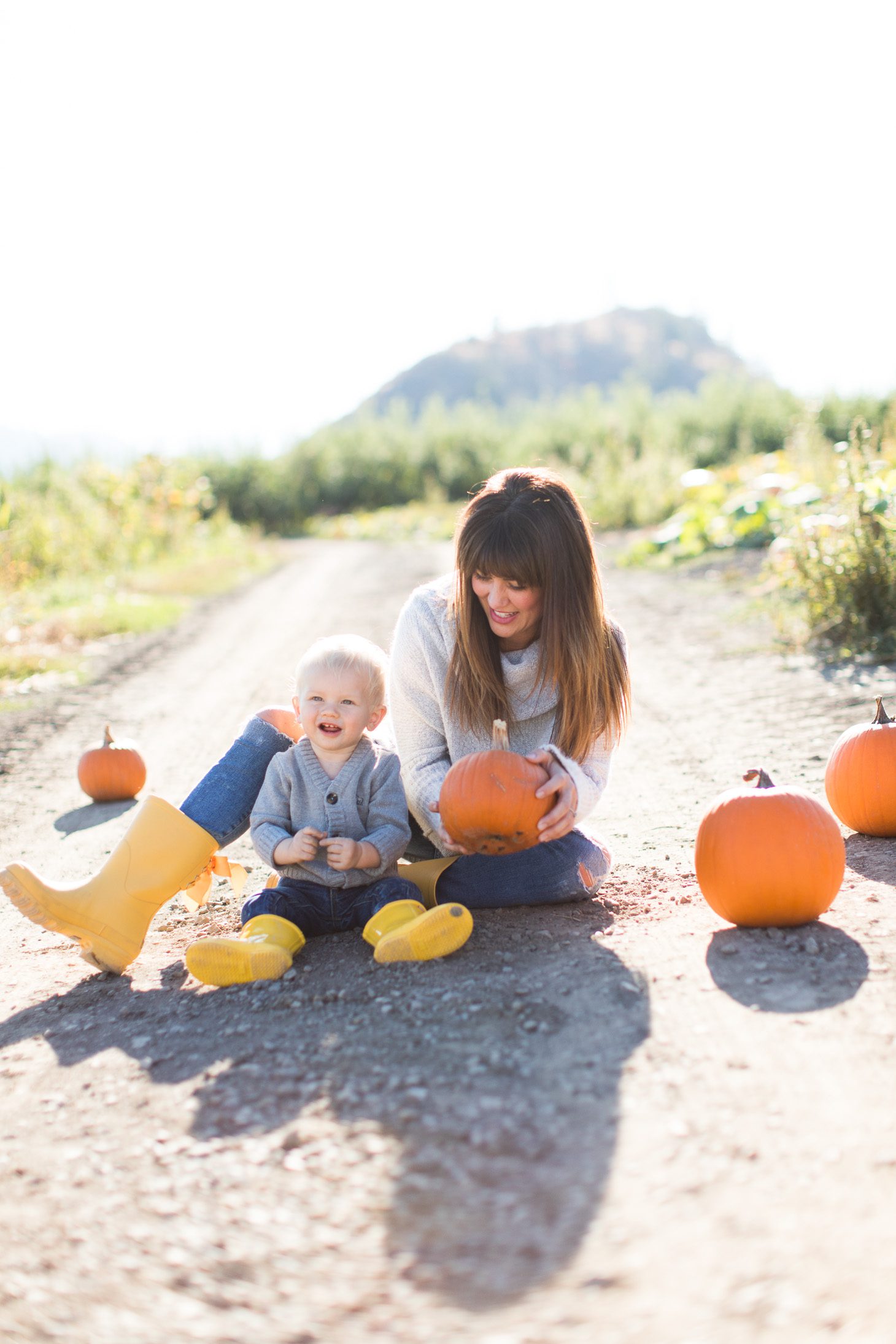 Jillian Harris ModCloth Sweater Pumpkin Patch