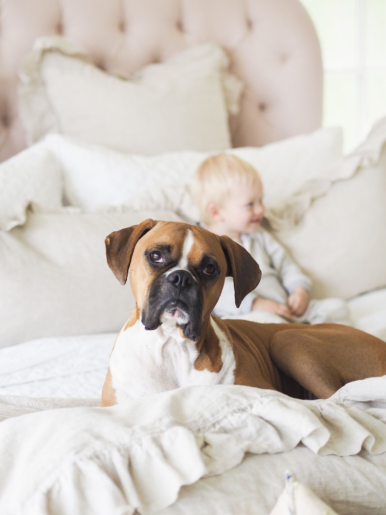 Jillian Harris Master Bedroom Reveal