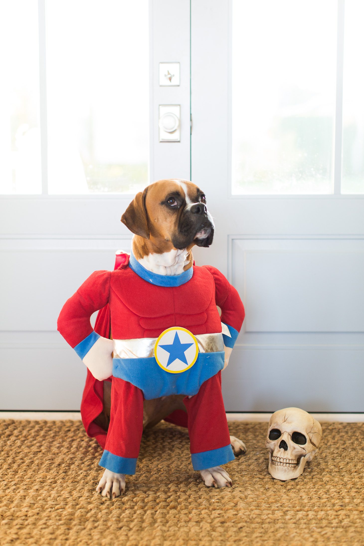 Jillian Harris Halloween Costumes