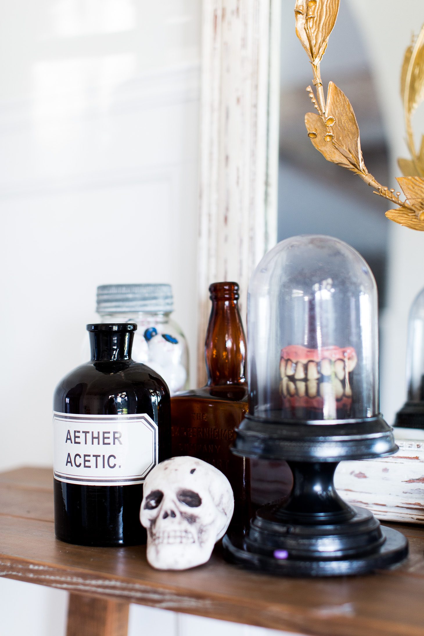 Jillian Harris Halloween Decorations