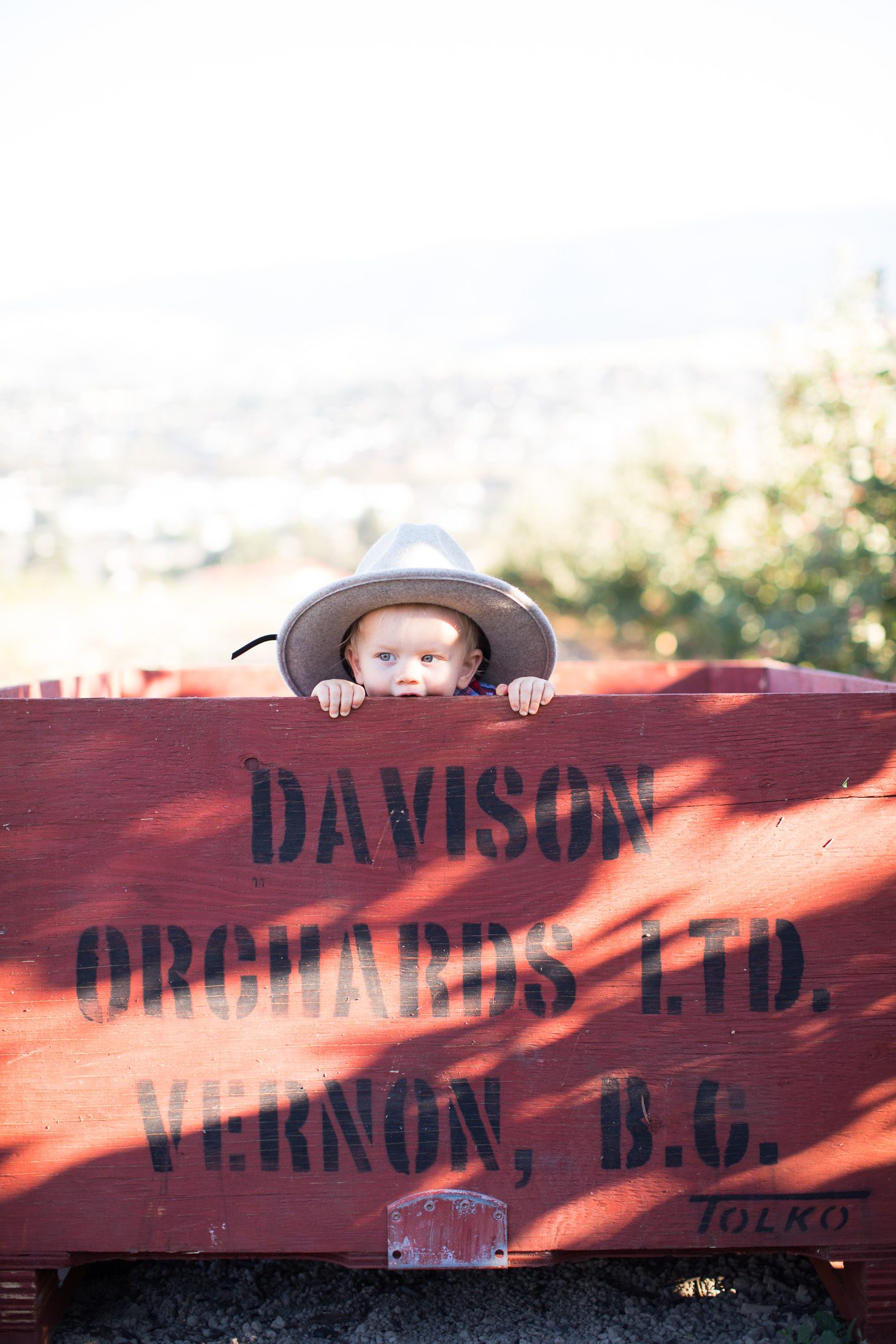 Jillian Harris and Leo Apple Picking