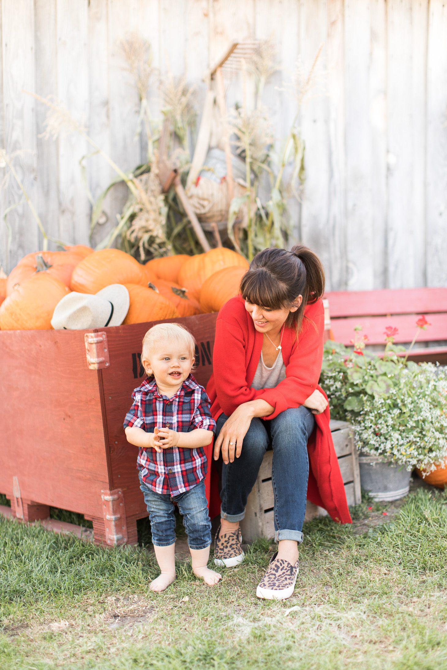 Jillian Harris and Leo Apple Picking