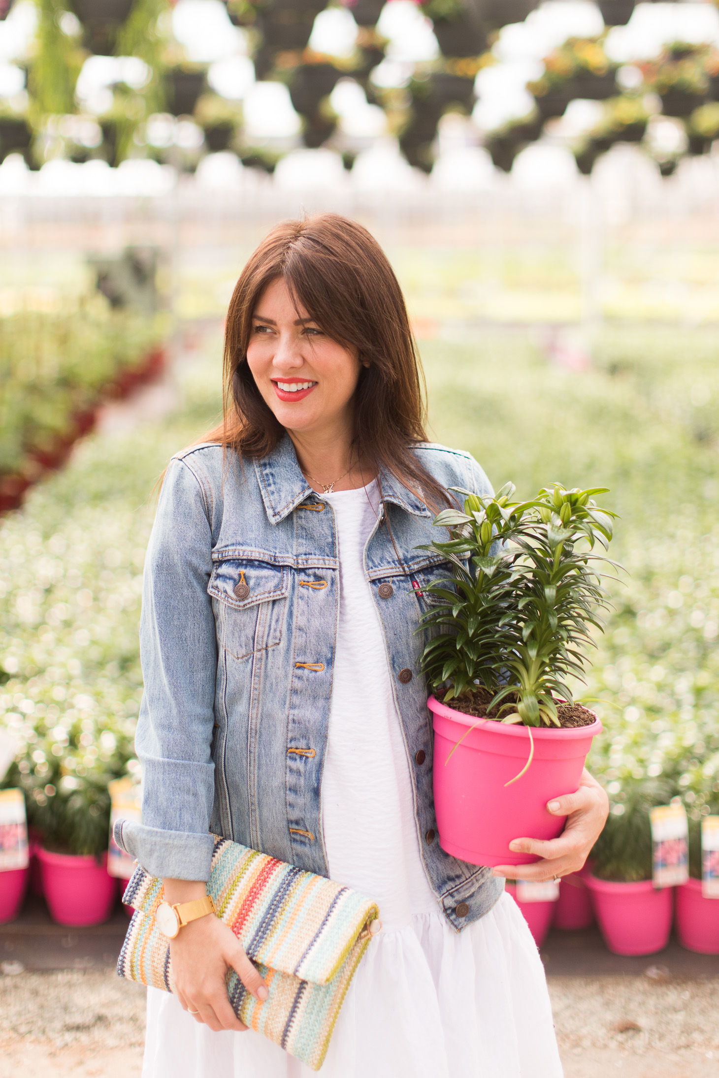 Jillian Harris 5 Tips for Planting Your Planters