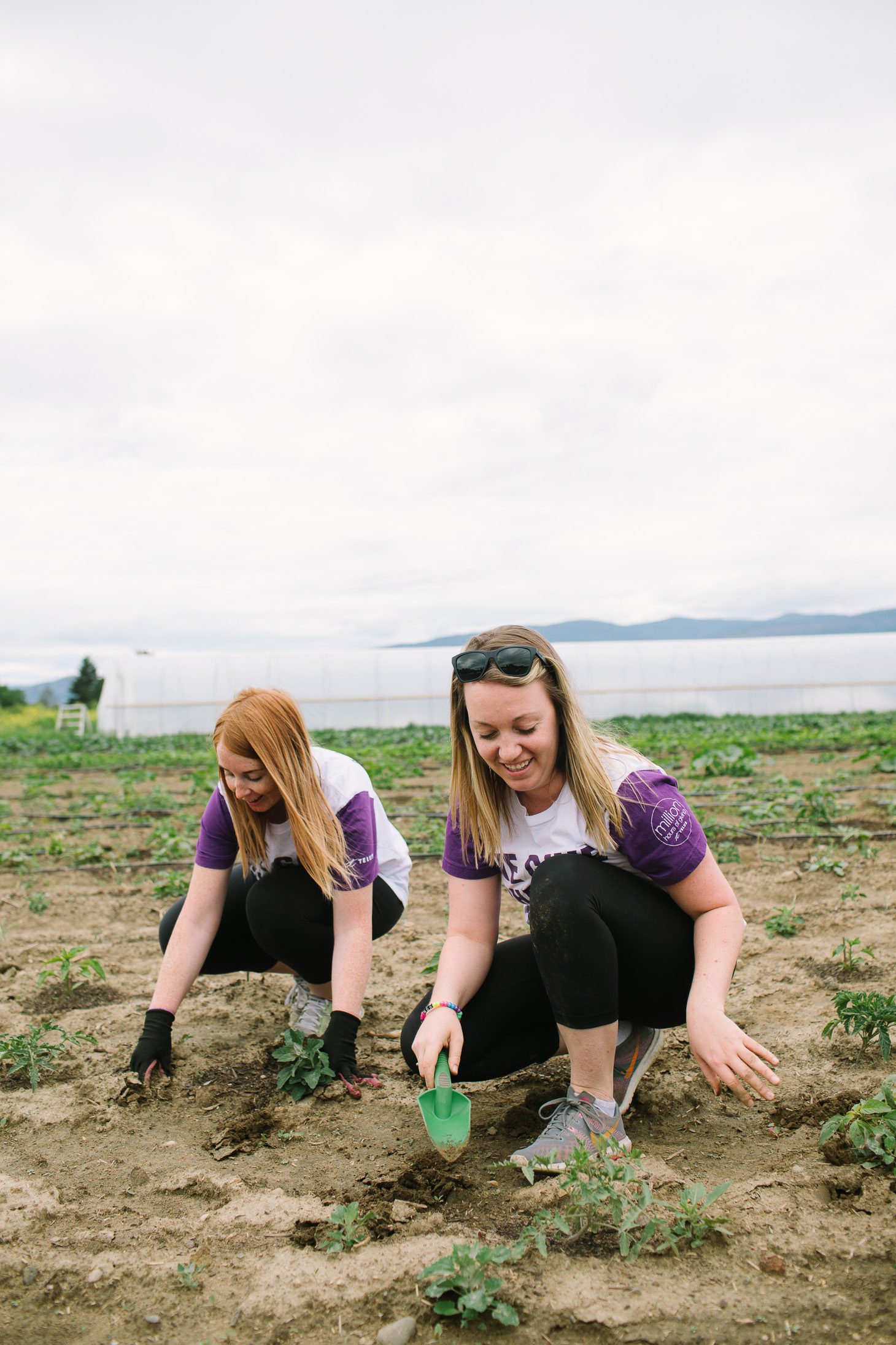 Jillian Harris A Community that Plants Together Grows Together