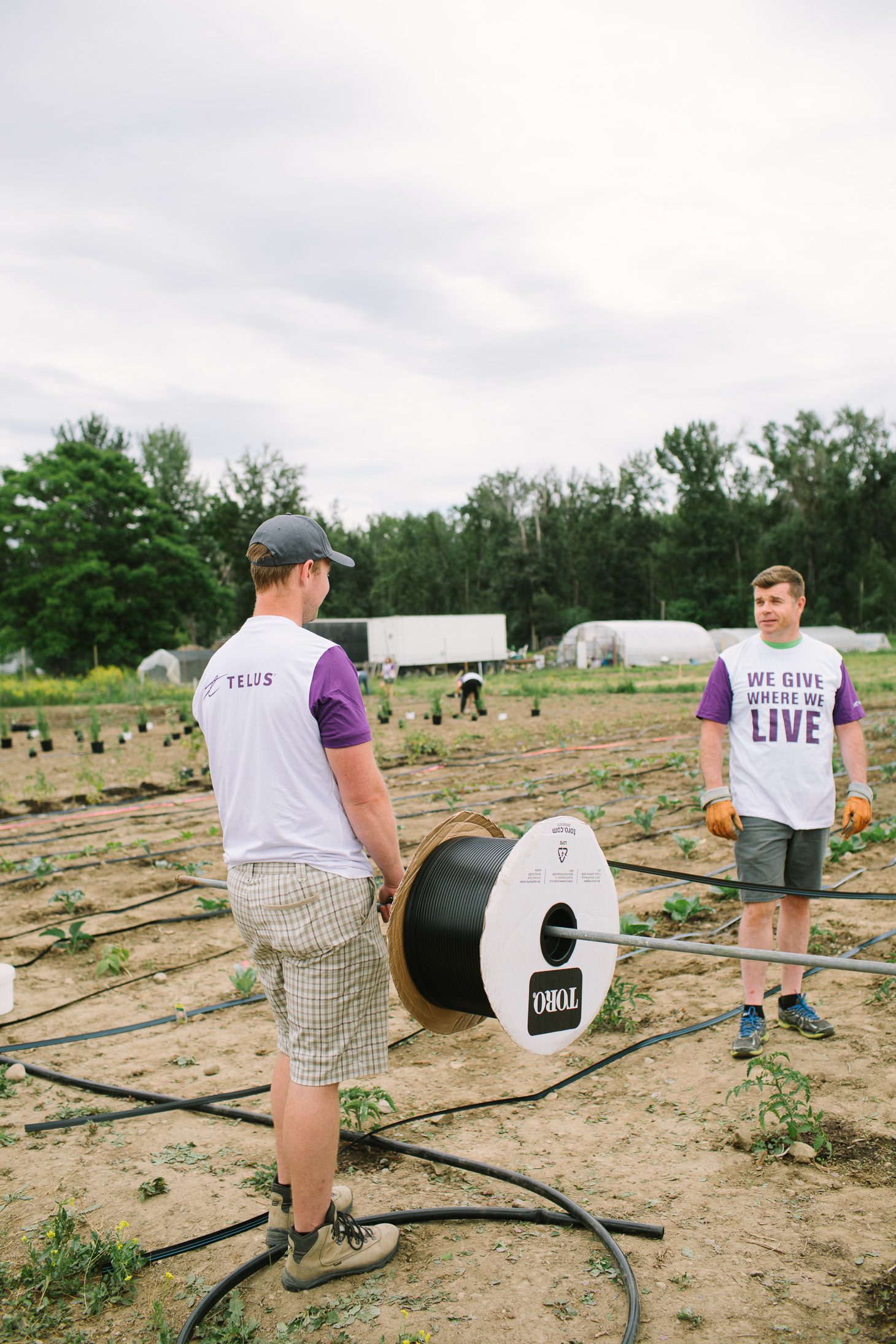 Jillian Harris A Community that Plants Together Grows Together