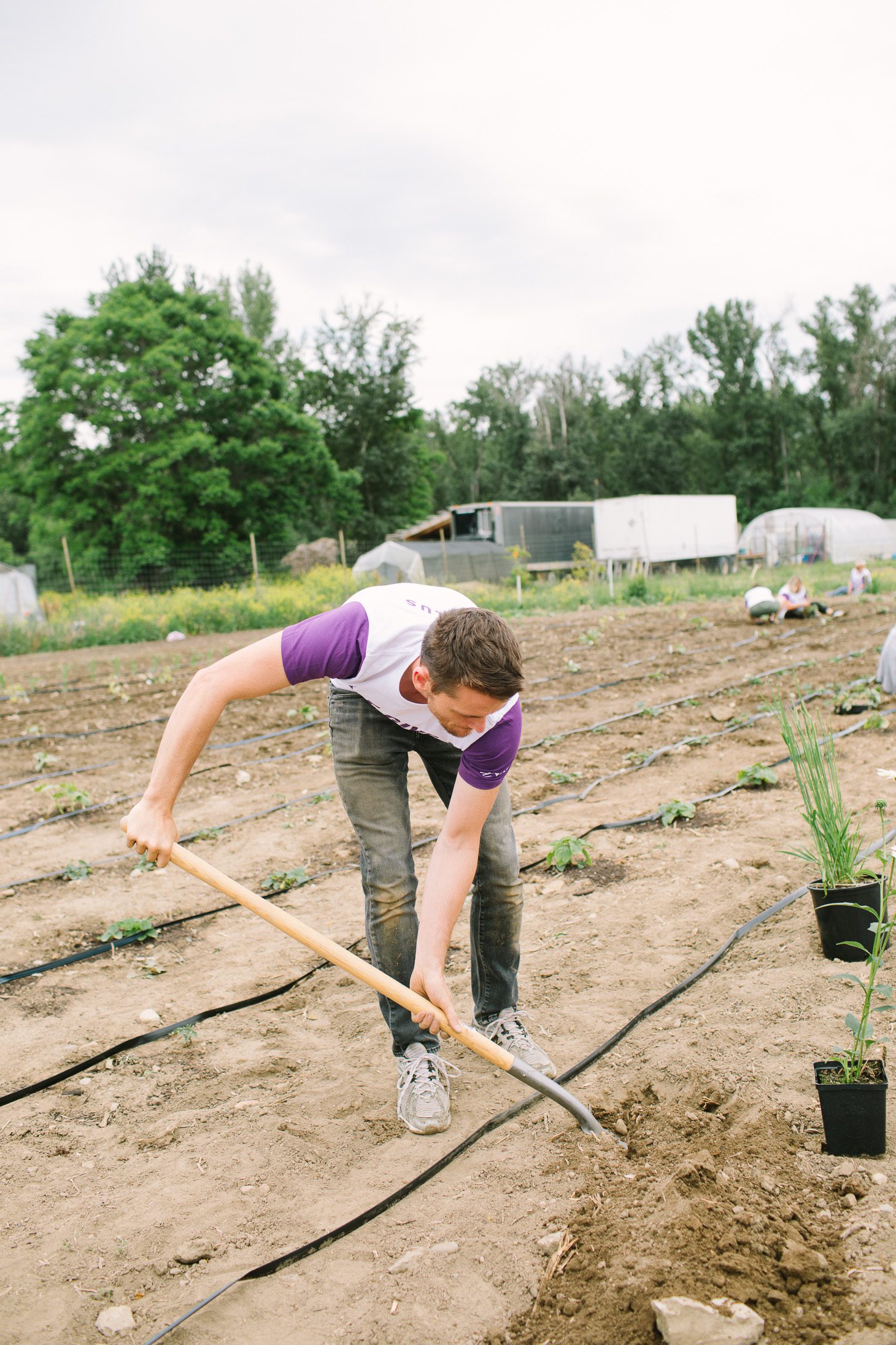 Jillian Harris A Community that Plants Together Grows Together