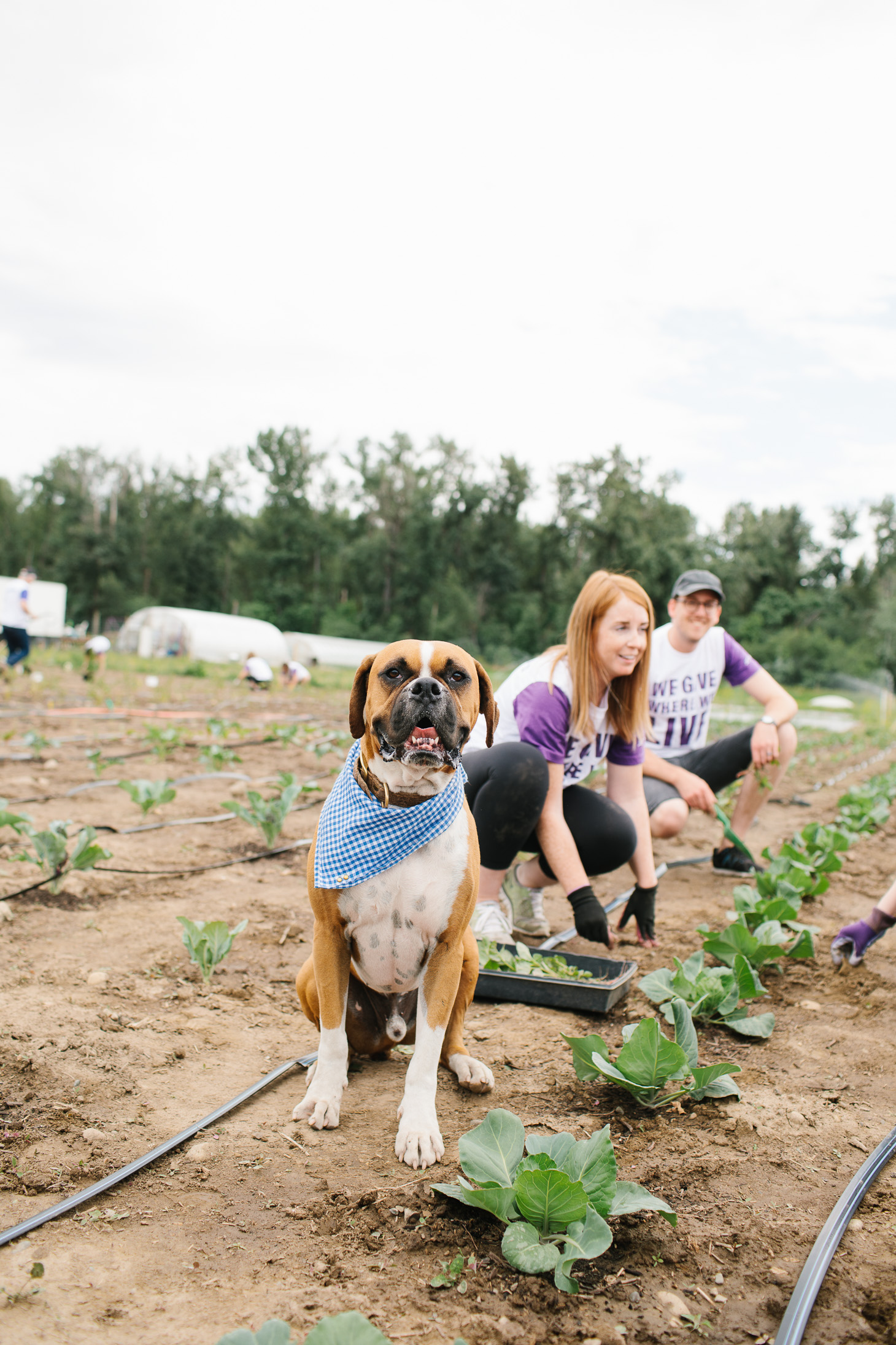 Jillian Harris A Community that Plants Together Grows Together