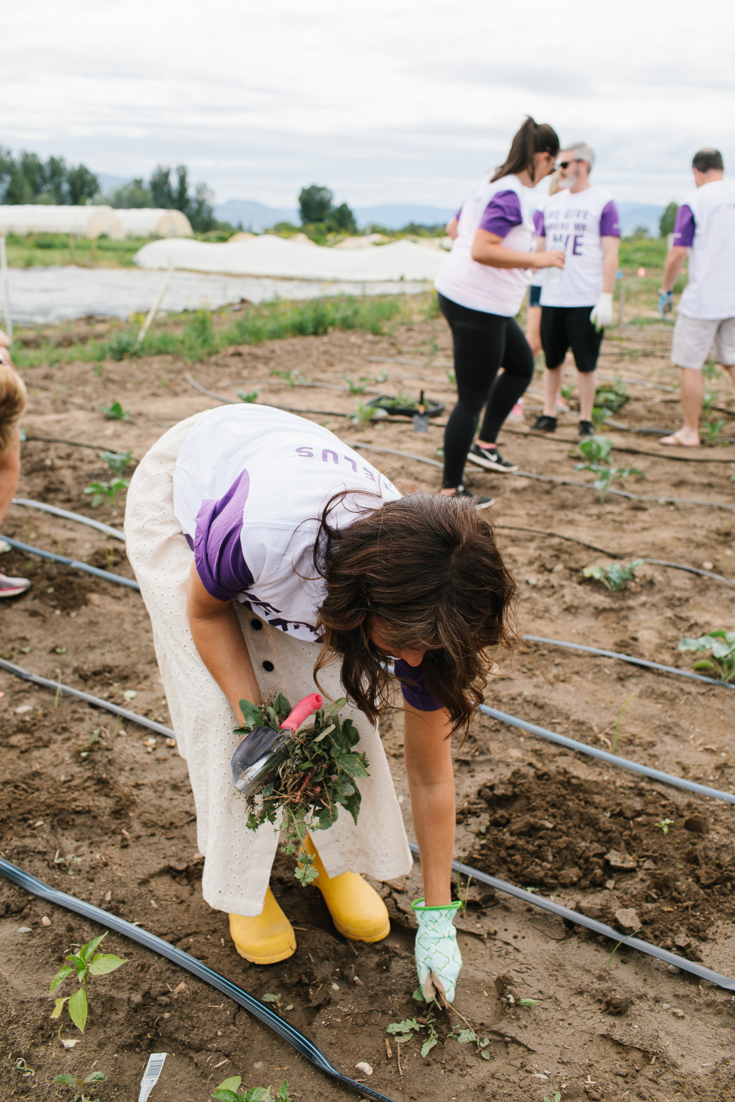 Jillian Harris A Community that Plants Together Grows Together