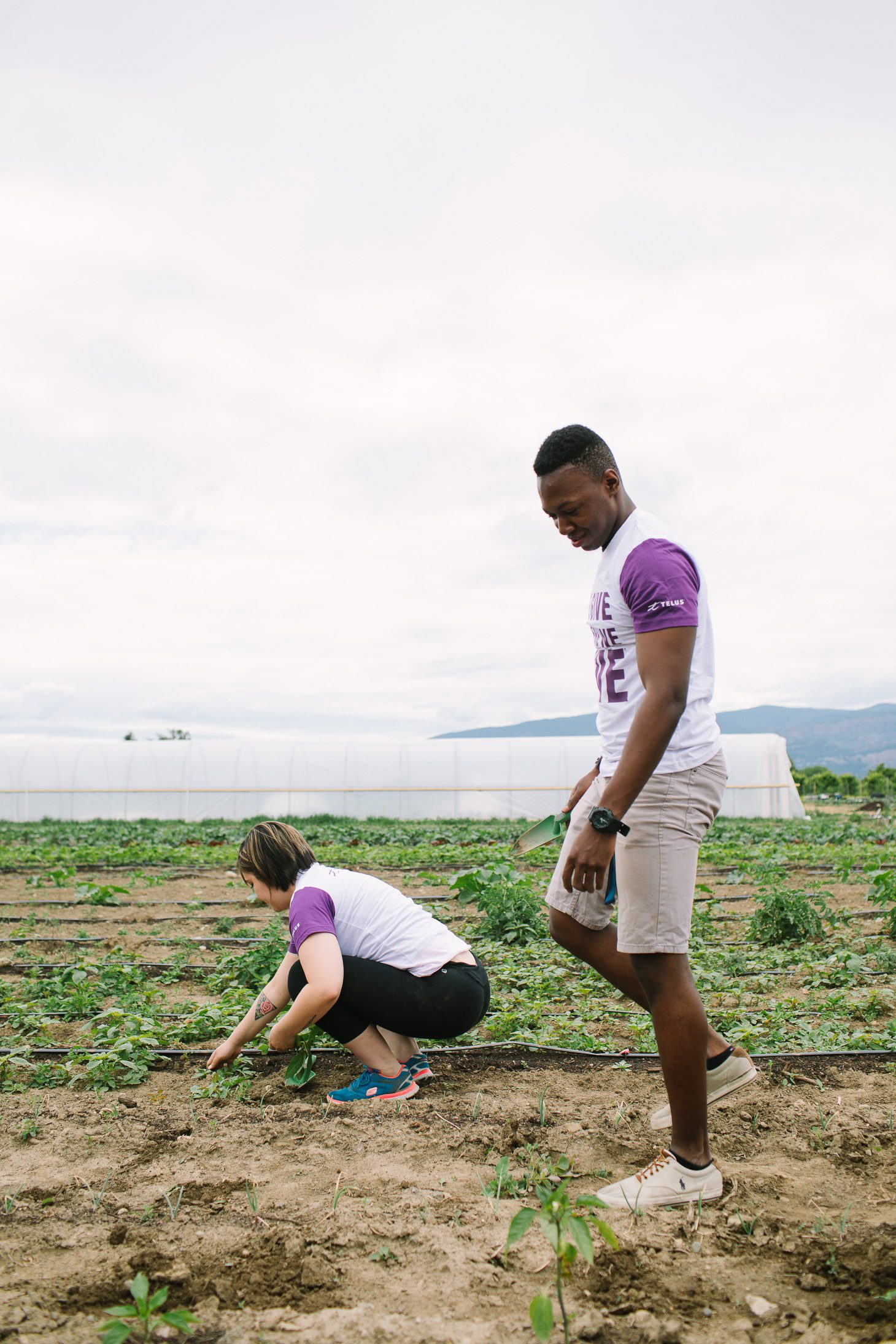 Jillian Harris A Community that Plants Together Grows Together