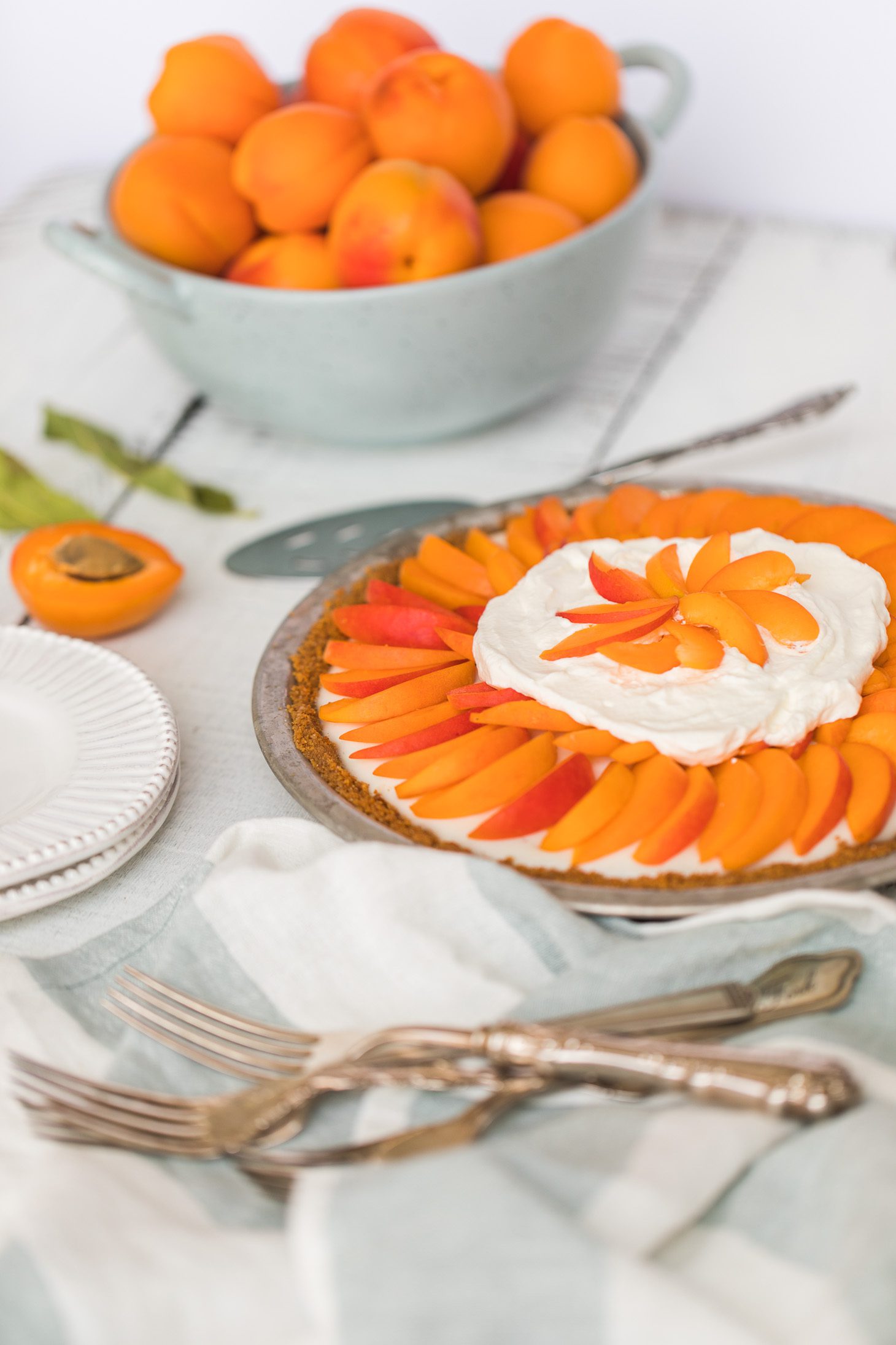 Jillian Harris Apricot Cream Pie Recipe