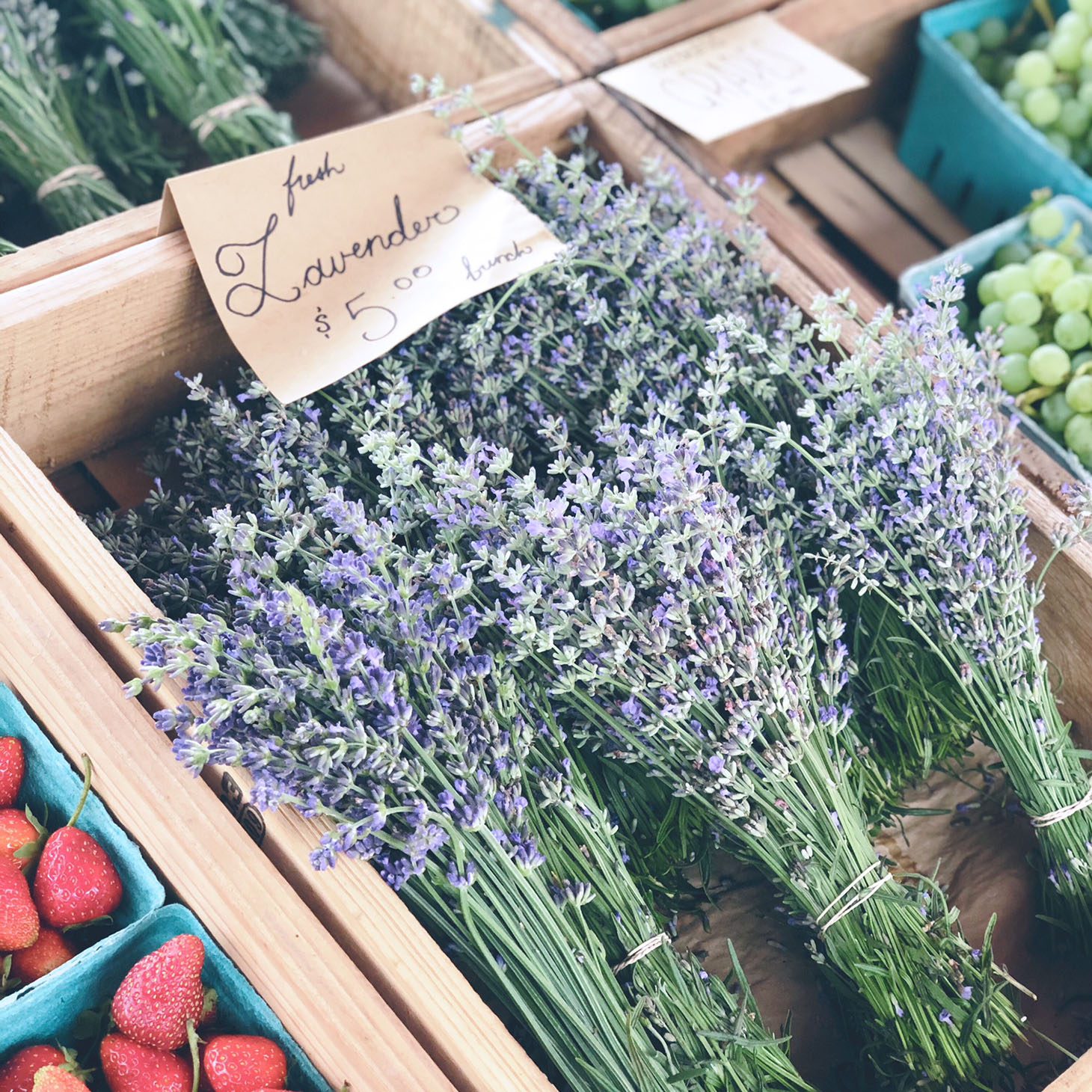 Jillian Harris What I Wear to the Farmers Market