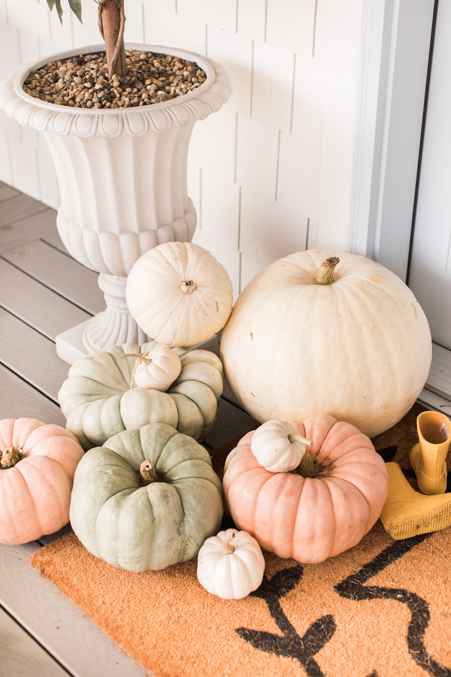 Jillian Harris 5 Ways to Cozy Up Your Home for Fall