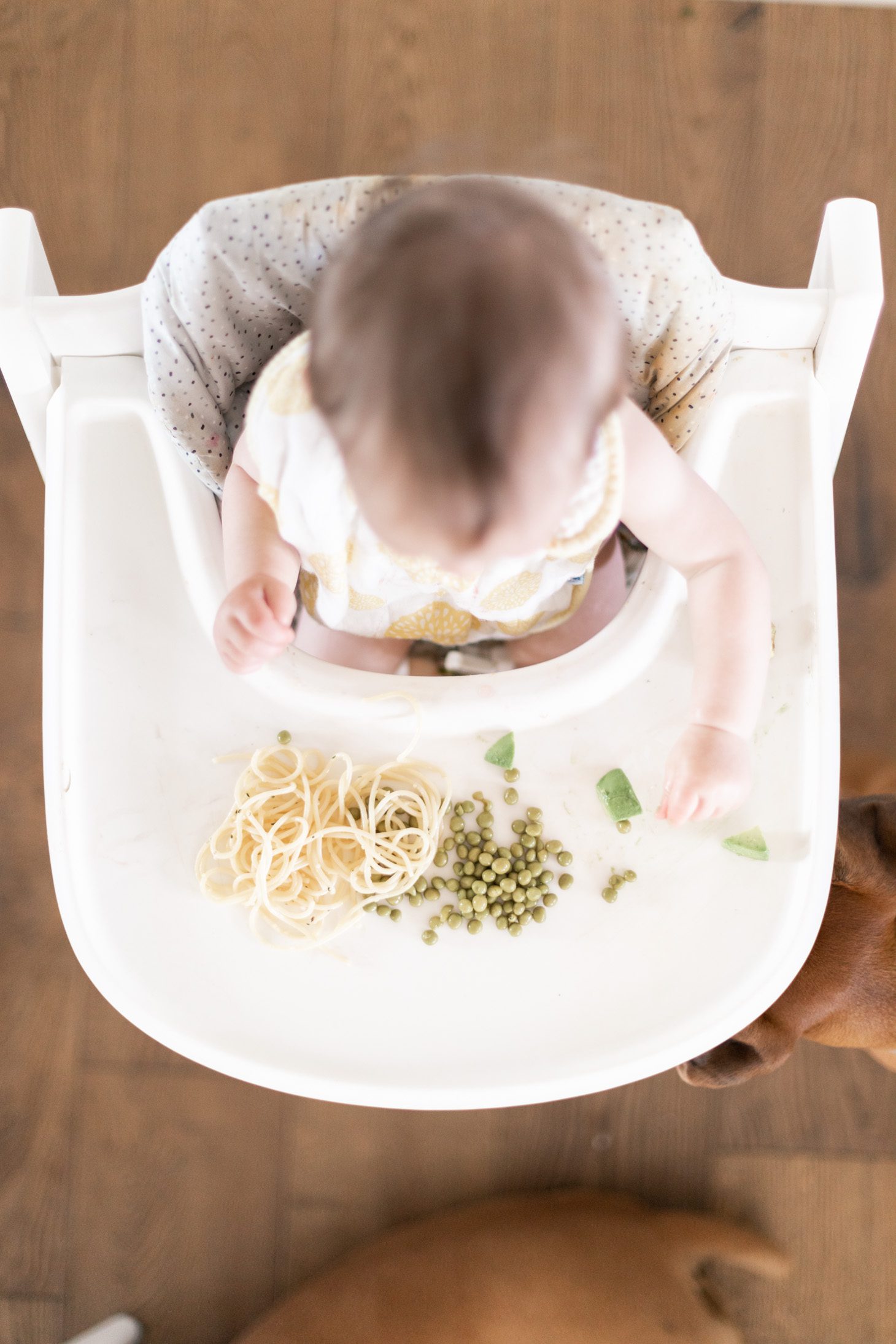 Jillian Harris Baby LED Weaning