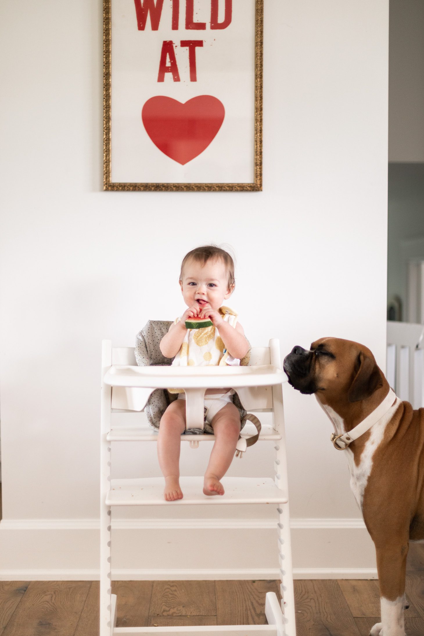 Jillian Harris Baby LED Weaning