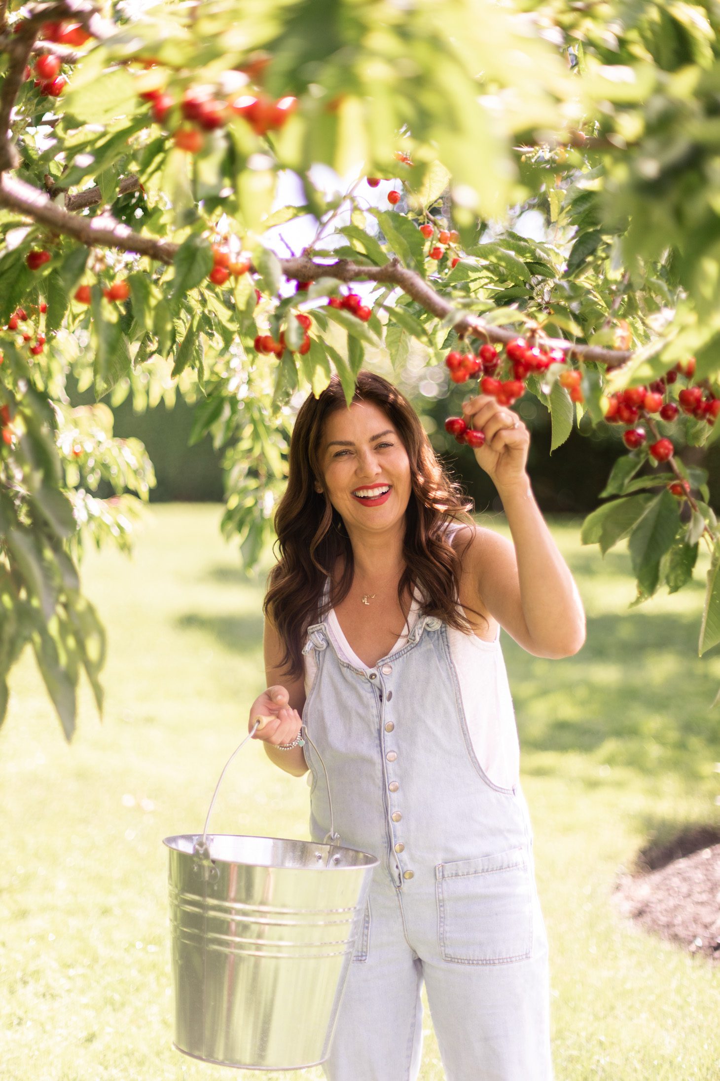 Jillian Harris Okanagan Cherry Ice Cream Sandwiches