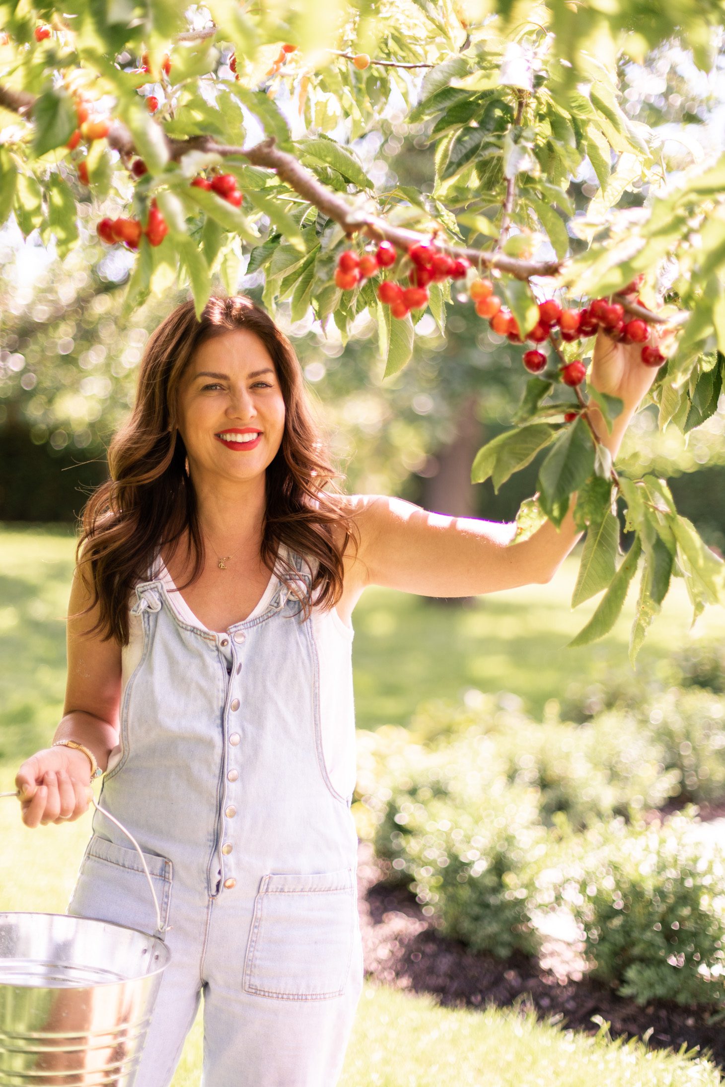 Jillian Harris Okanagan Cherry Ice Cream Sandwiches