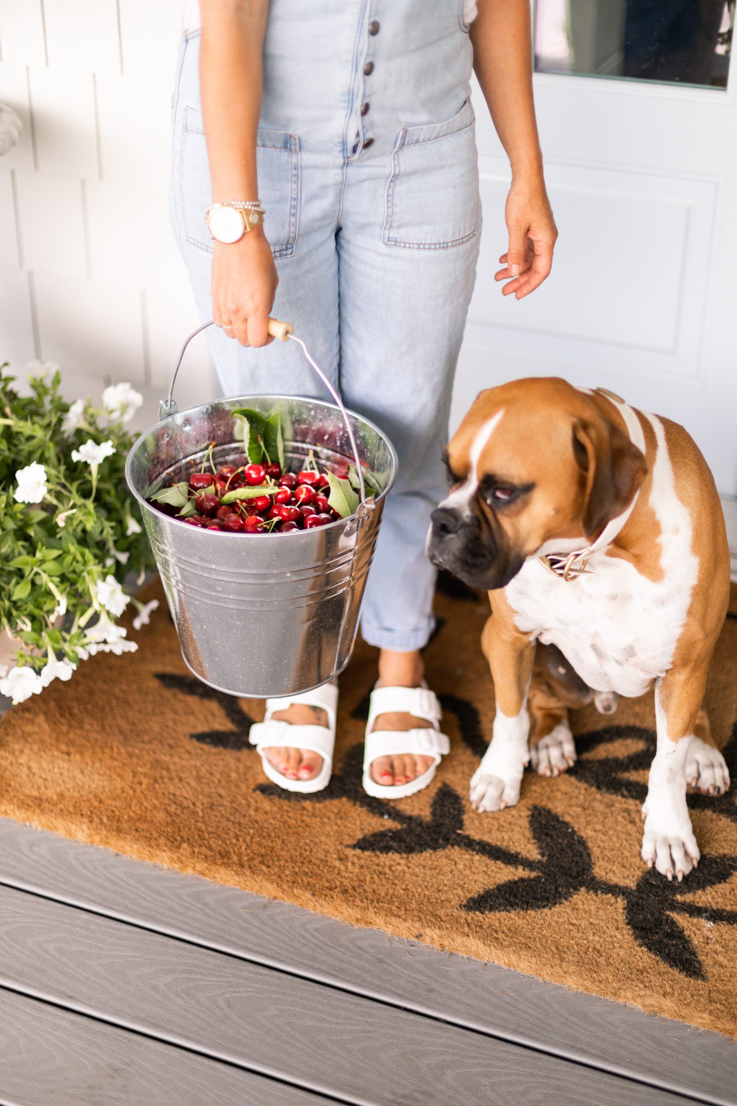 Jillian Harris Okanagan Cherry Ice Cream Sandwiches