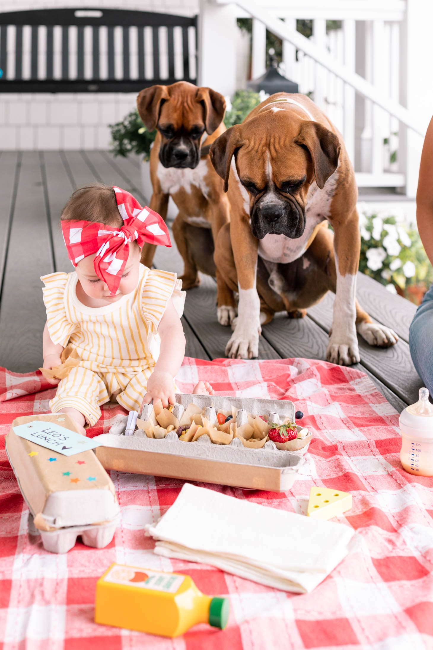 Jillian Harris' dogs Nacho and Cilantro watching her daughter Annie eat snacks at a Picnic on their porch.