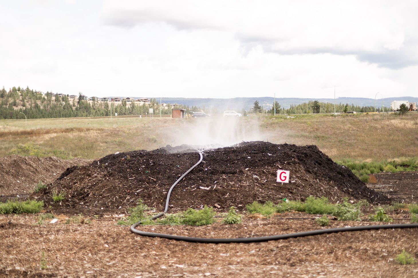 Jillian Harris Landfill