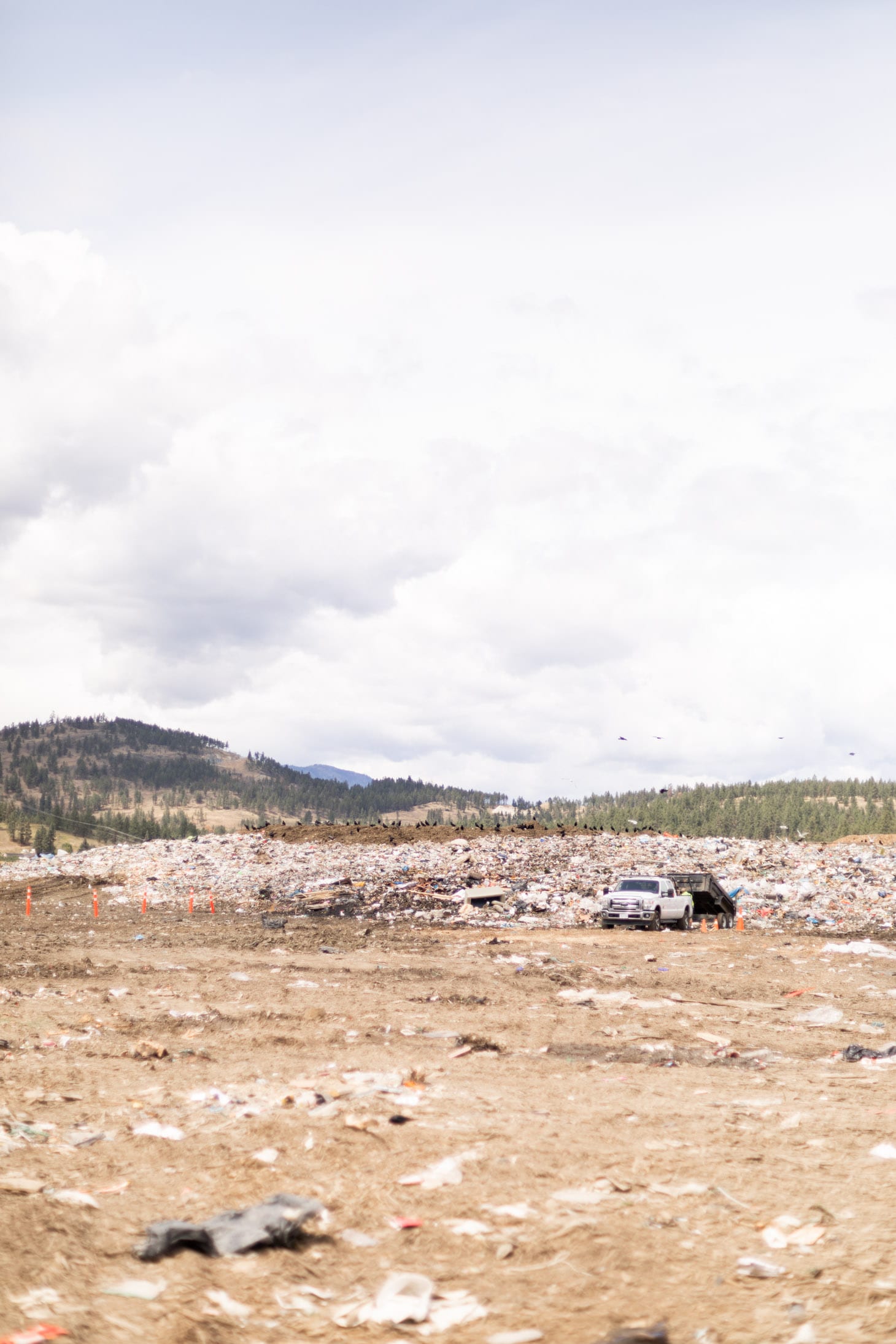 Jillian Harris Landfill