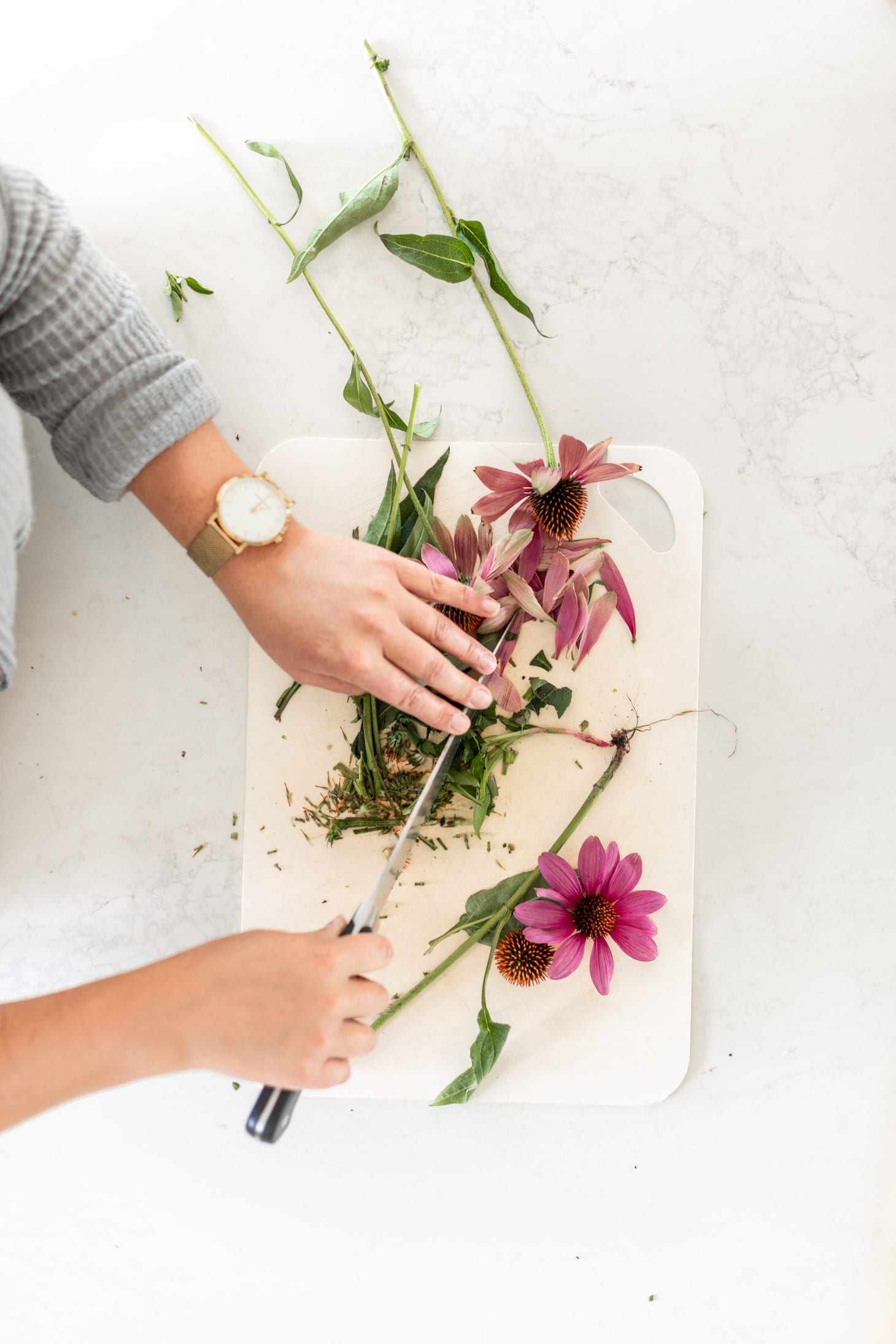 Jillian Harris My Homemade Echinacea Tincture