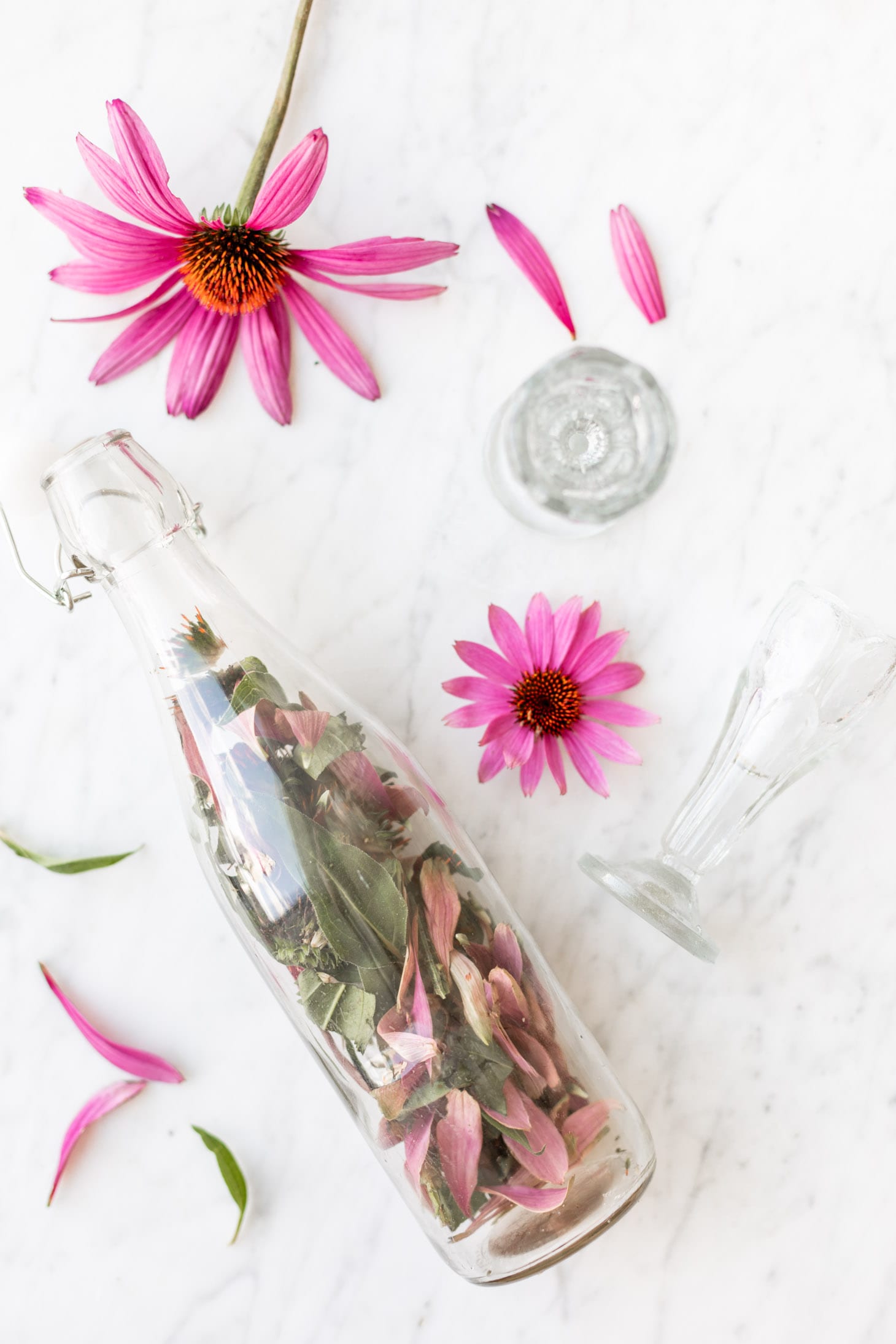 Jillian Harris My Homemade Echinacea Tincture