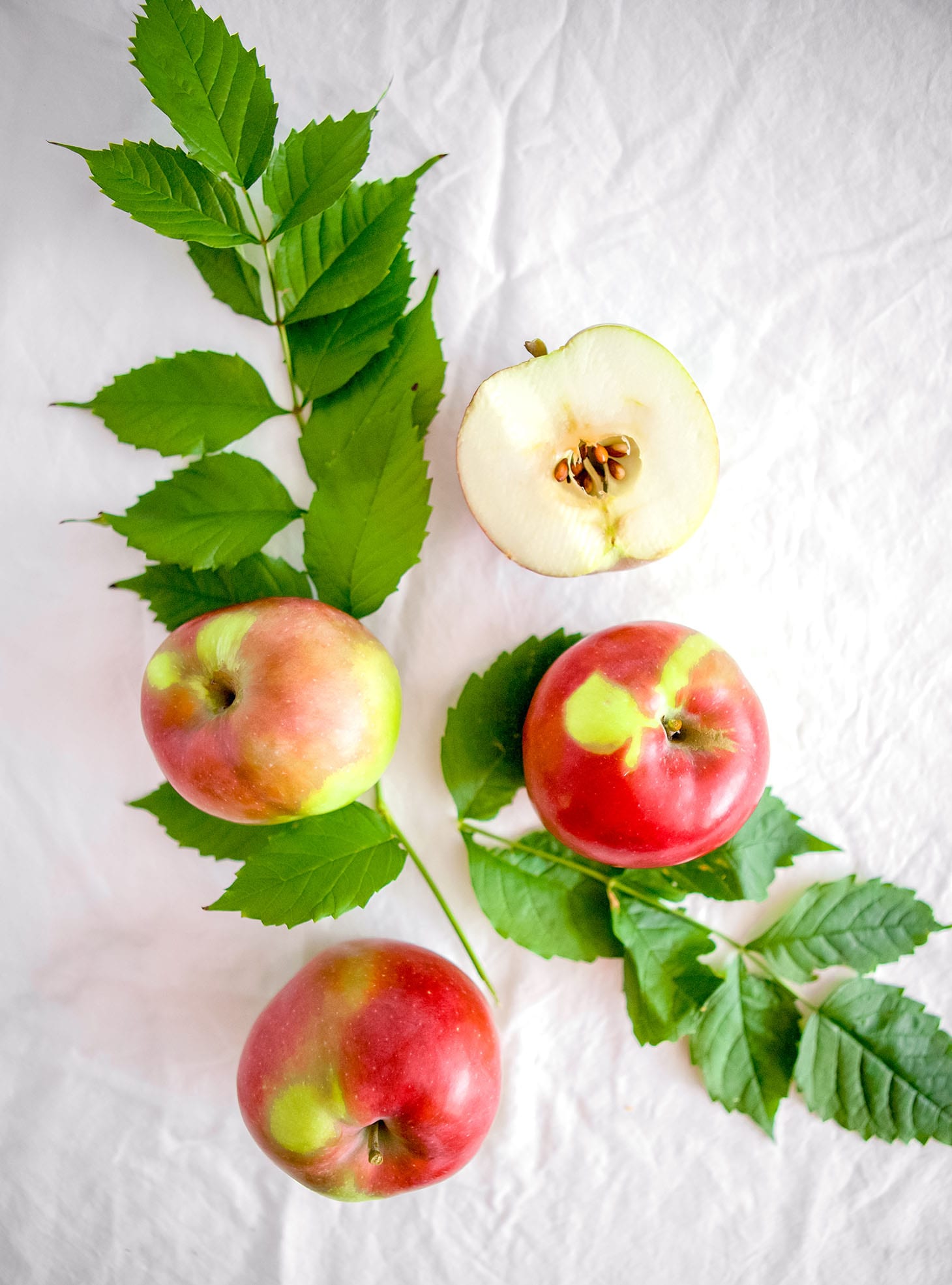 Jillian Harris Spiced Apple Cinnamon Waffles