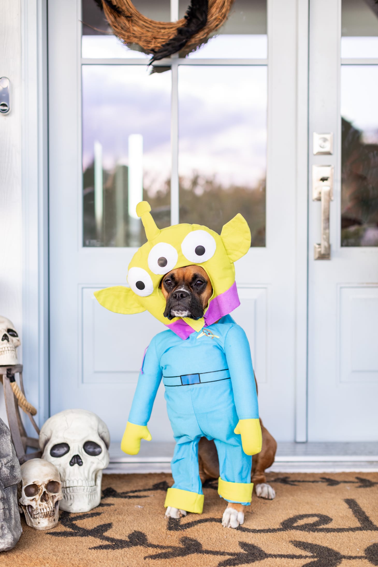 Jillian Harris Toy Story Halloween