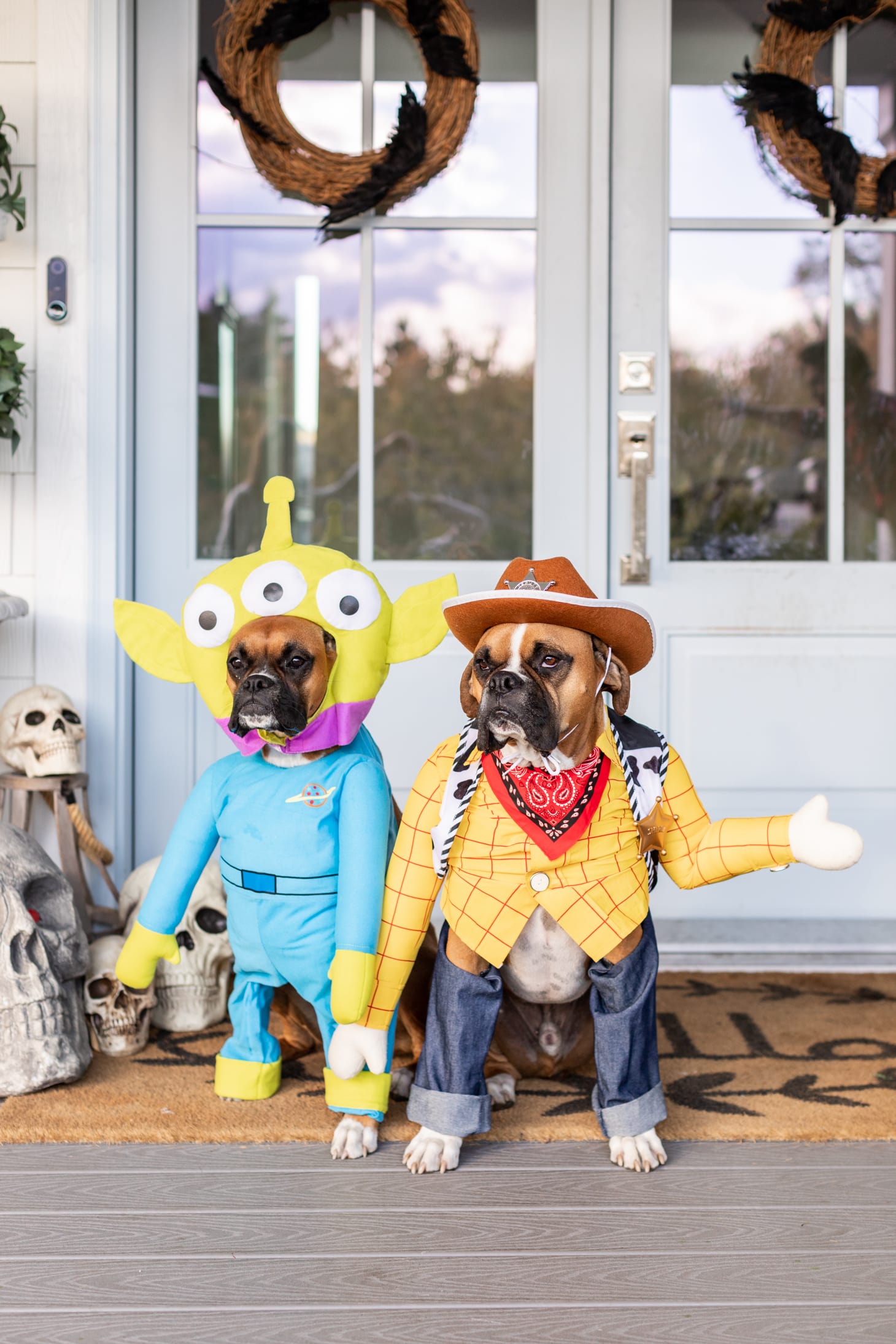 Jillian Harris Toy Story Halloween