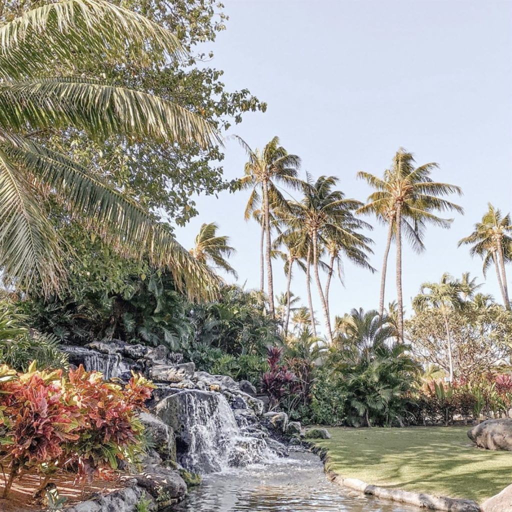 The Fairmont Orchid View