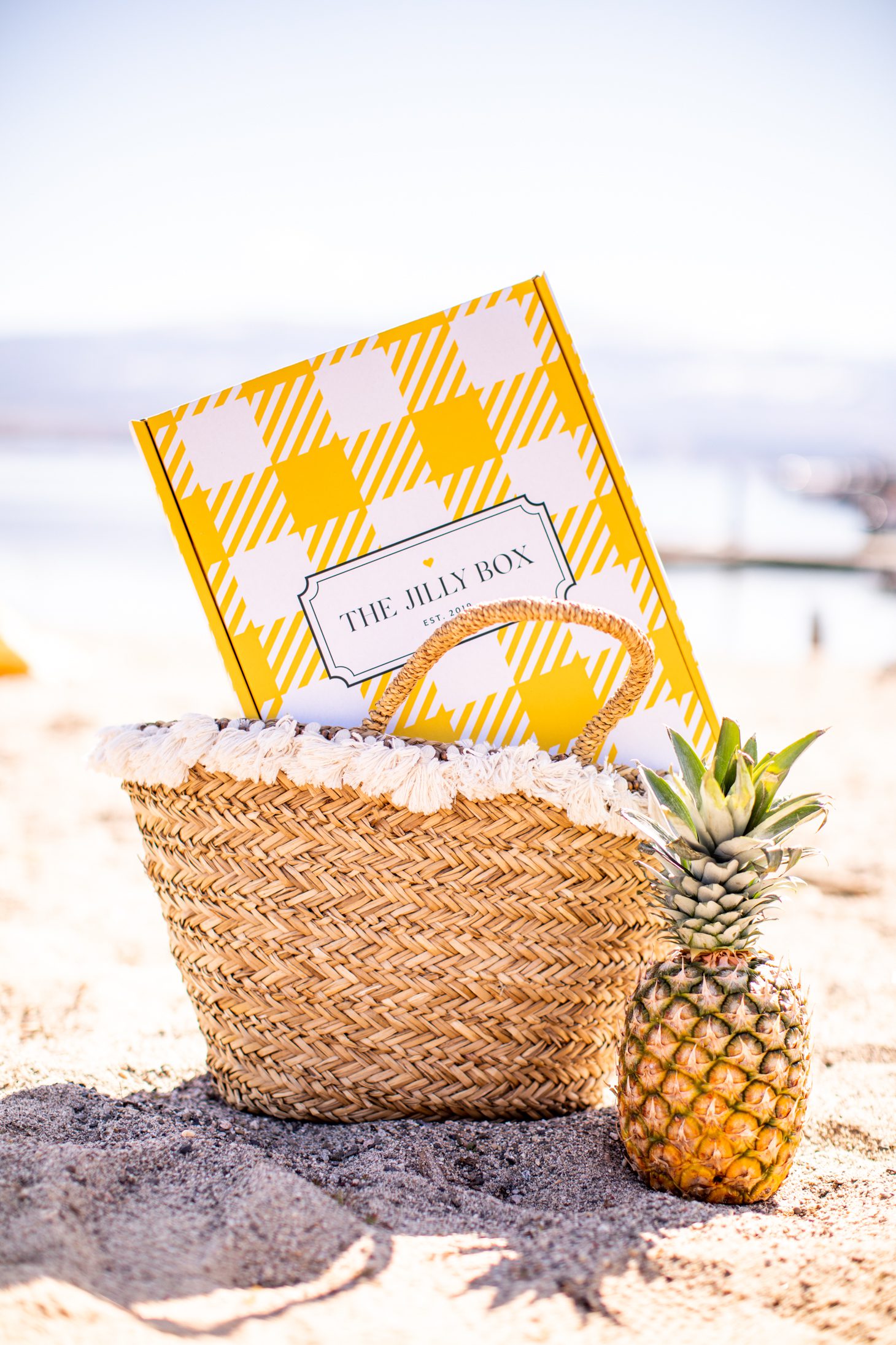 The Summer 2020 Jilly Box on the beach in a bag beside pineapple