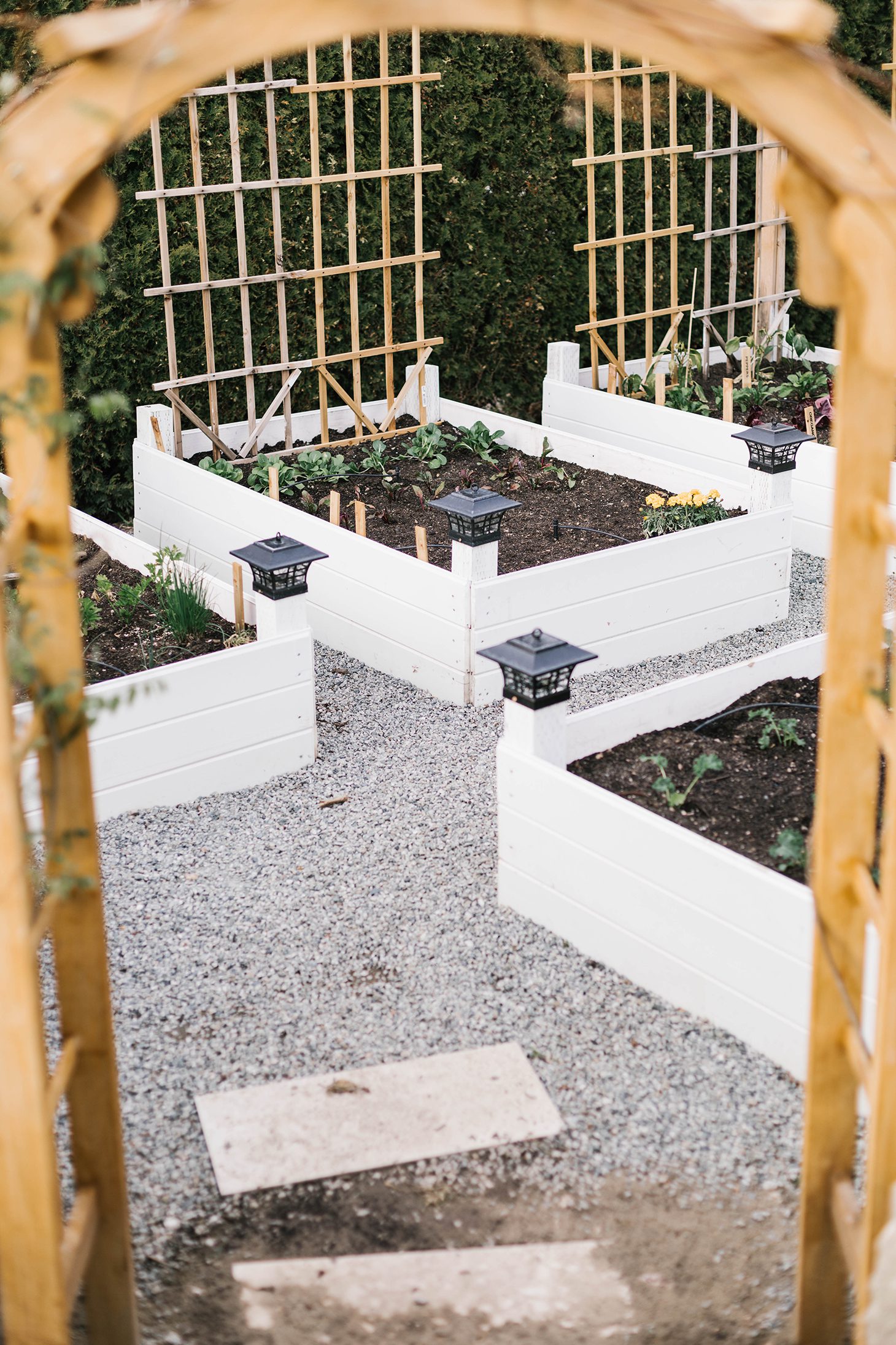 Jillian Harris Vegetable Garden