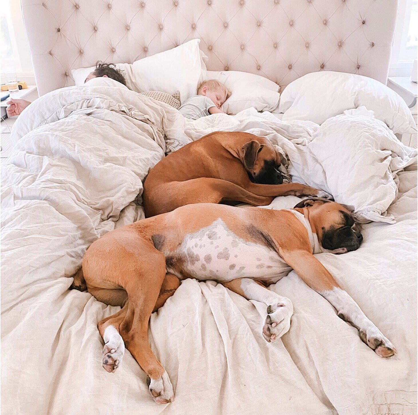 Family Nap Time