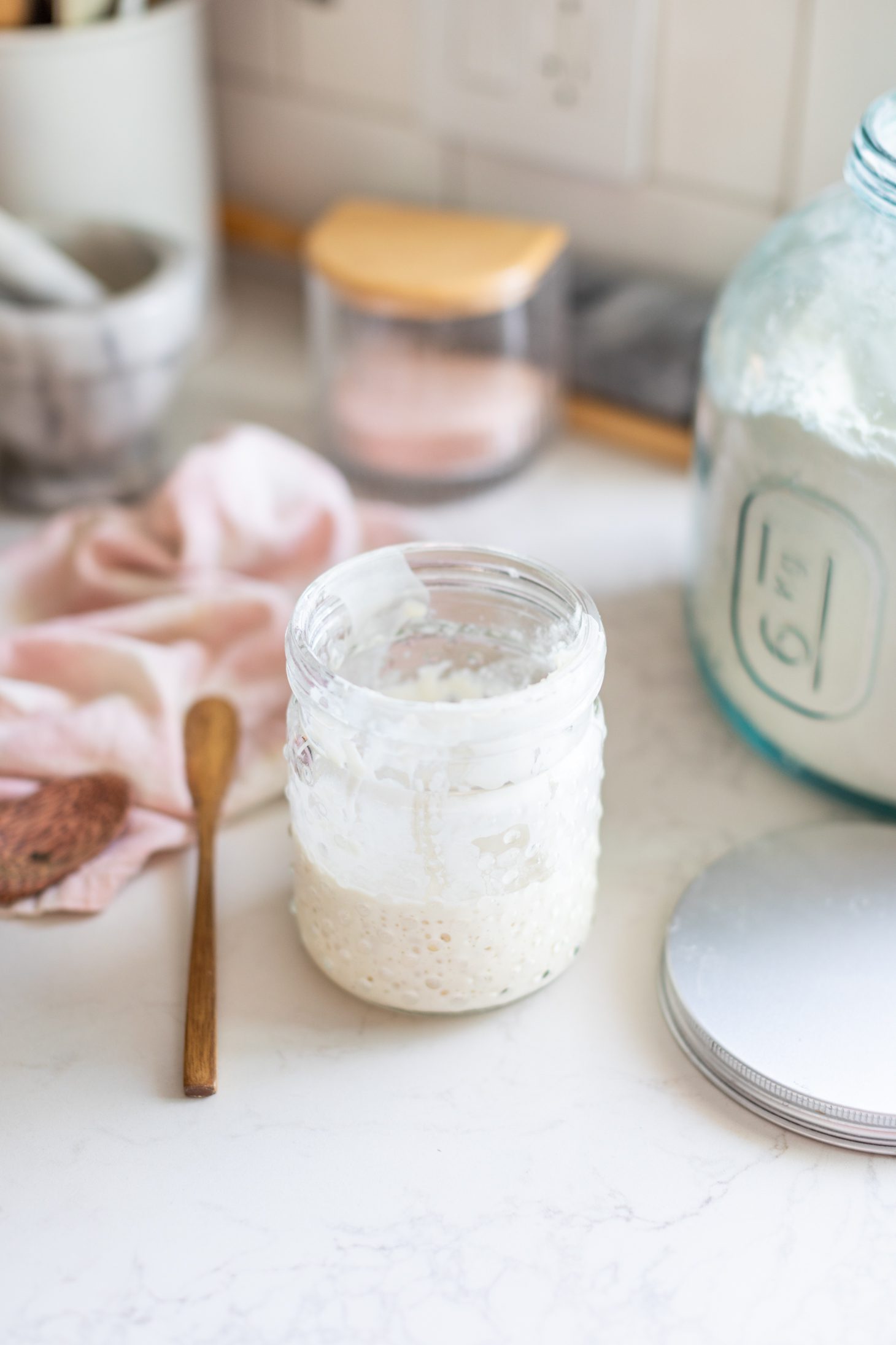 What is a sourdough starter